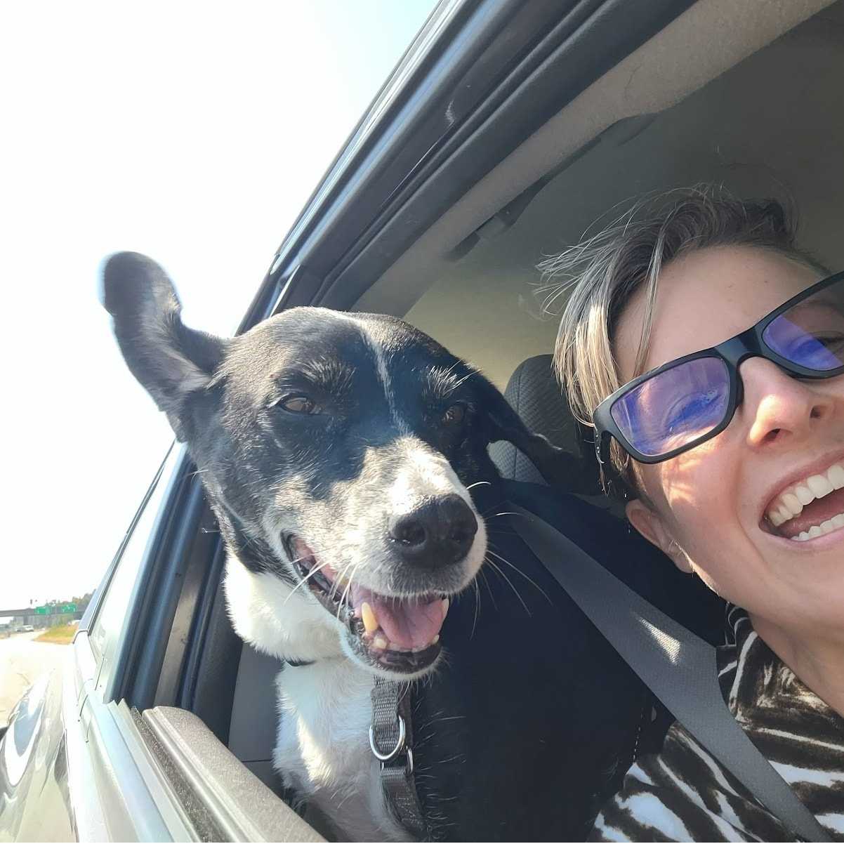 Leica (Deceased 2025 04 16)