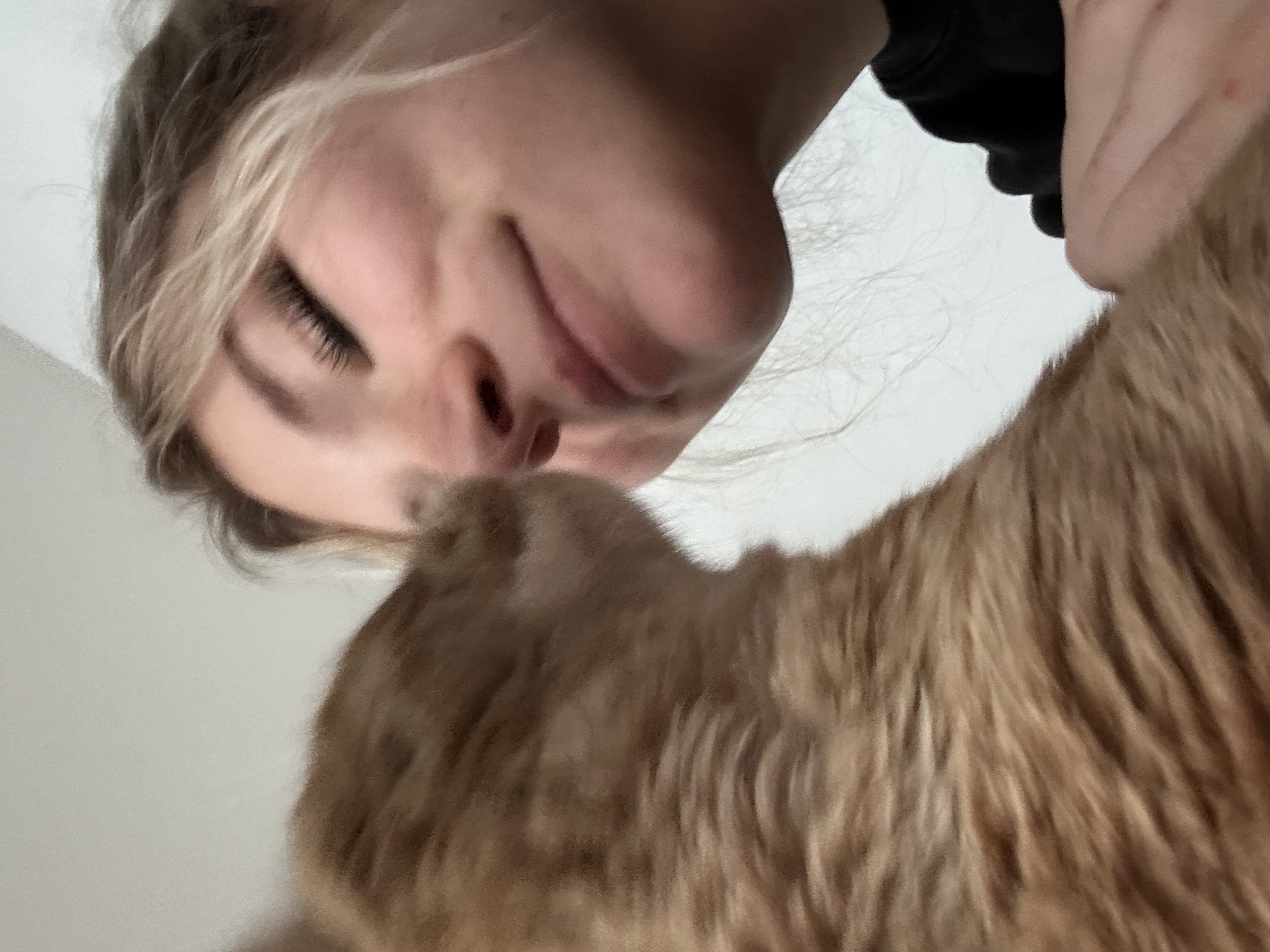 image-0