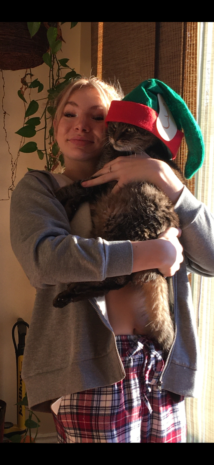 image-7