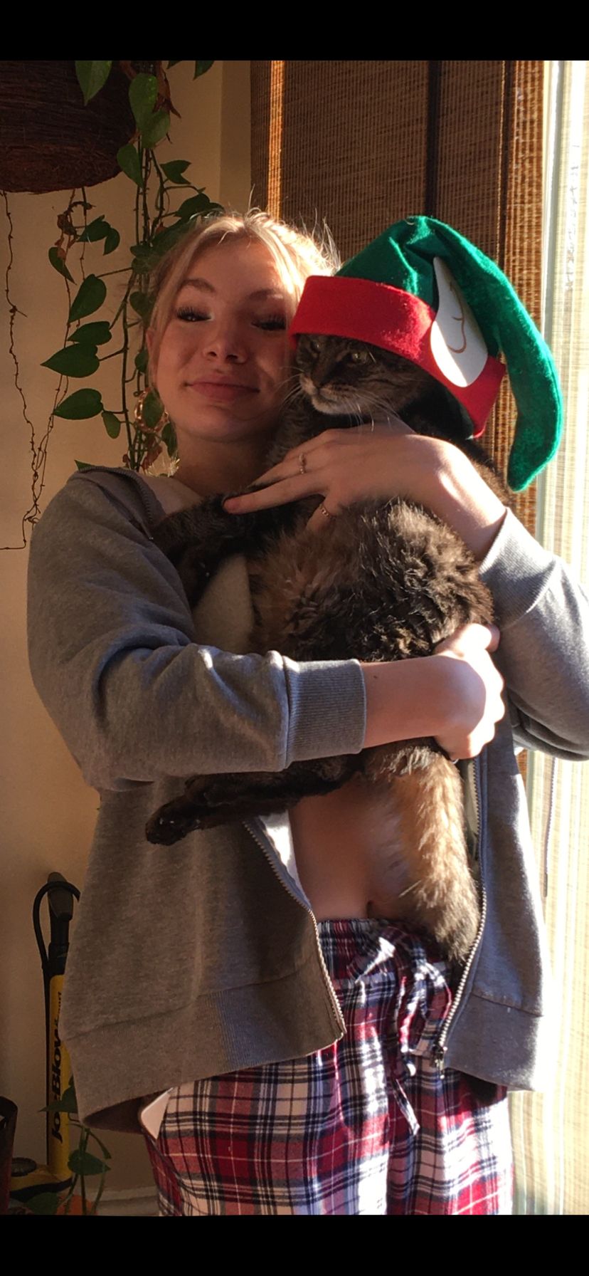 image-7