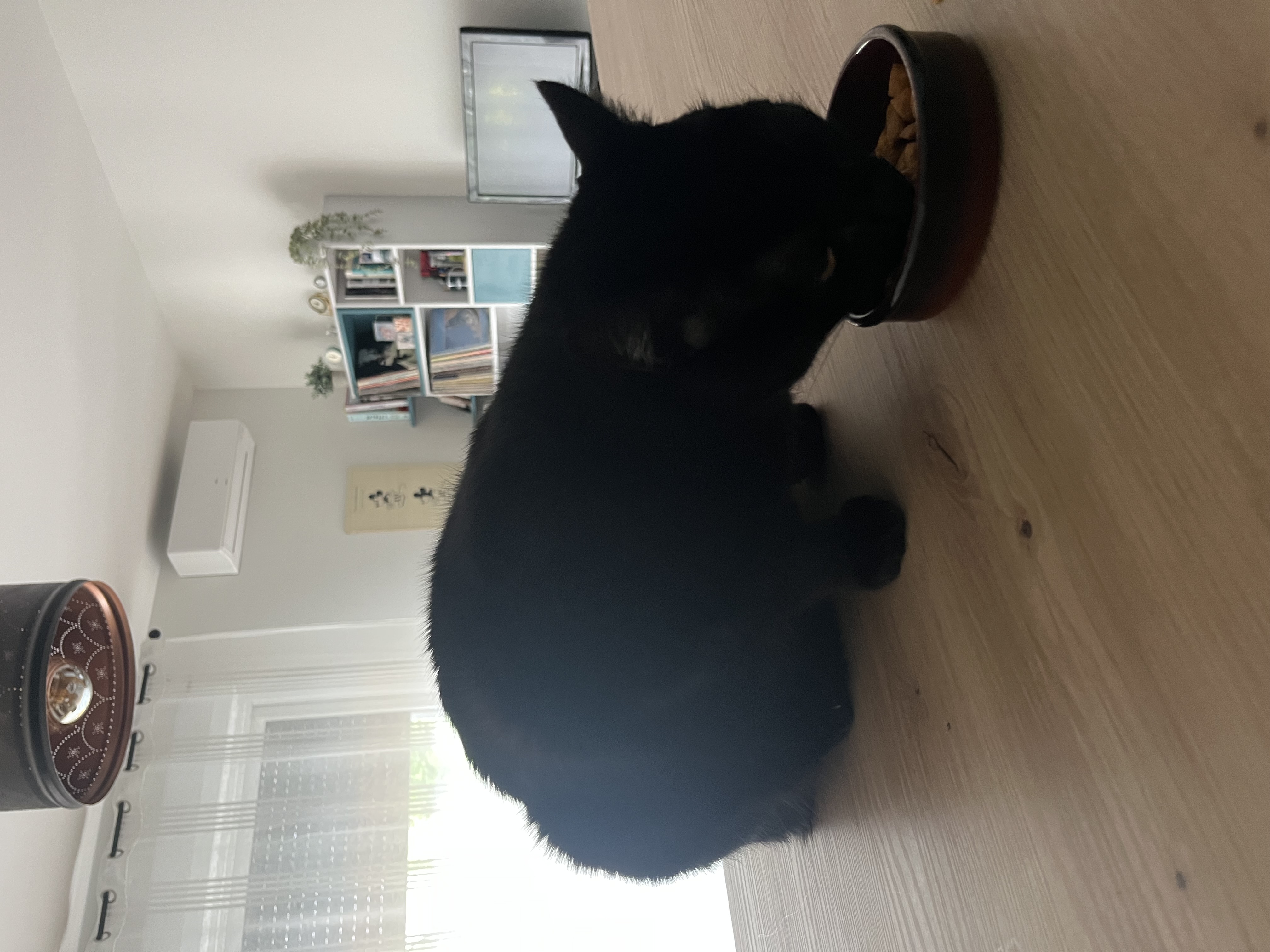 image-7