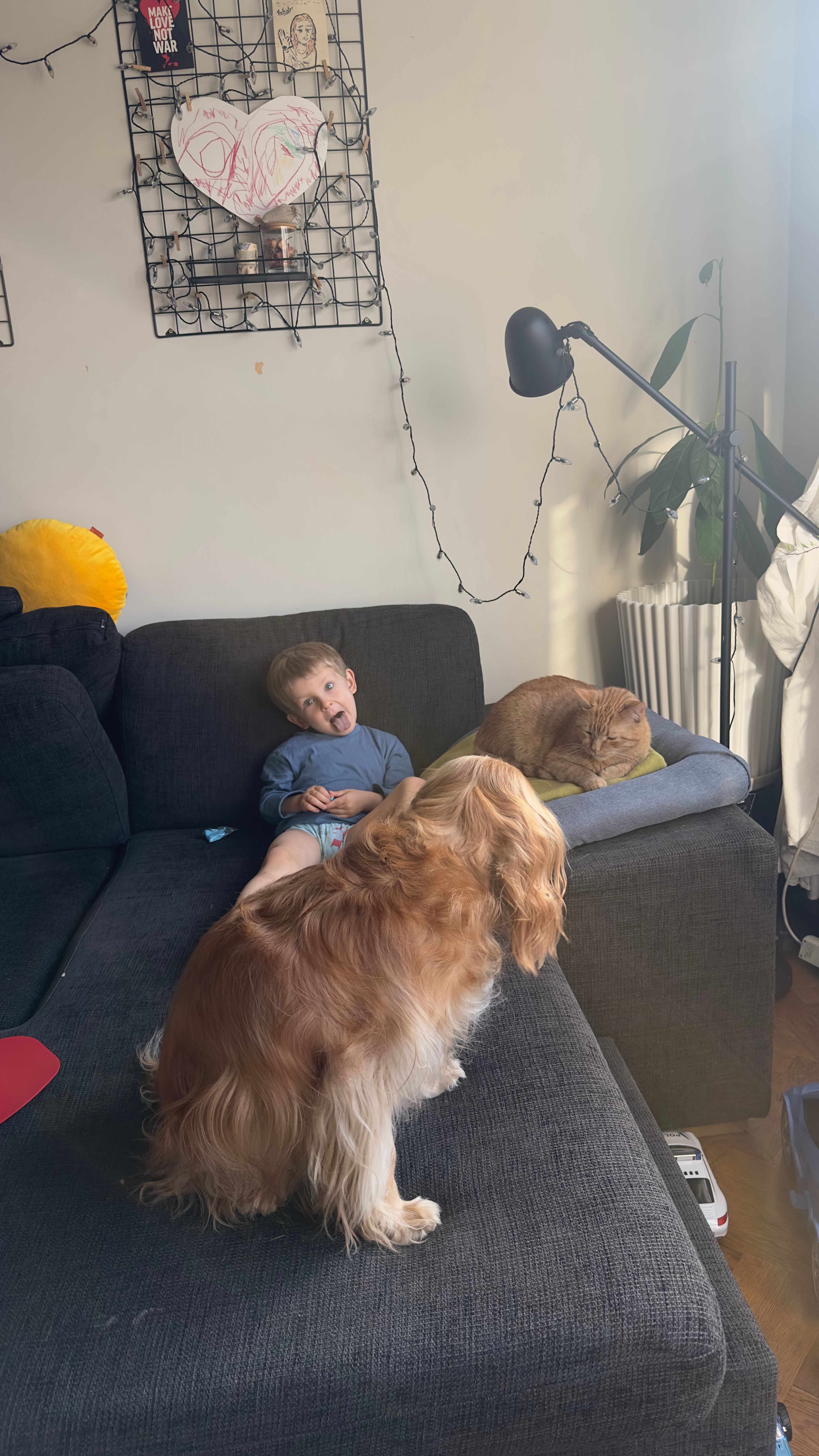image-14