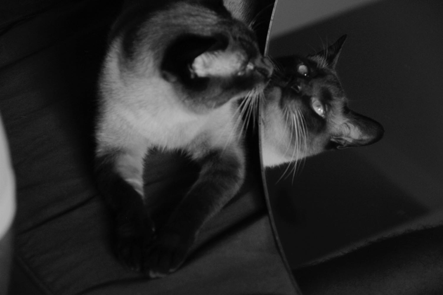 image-6