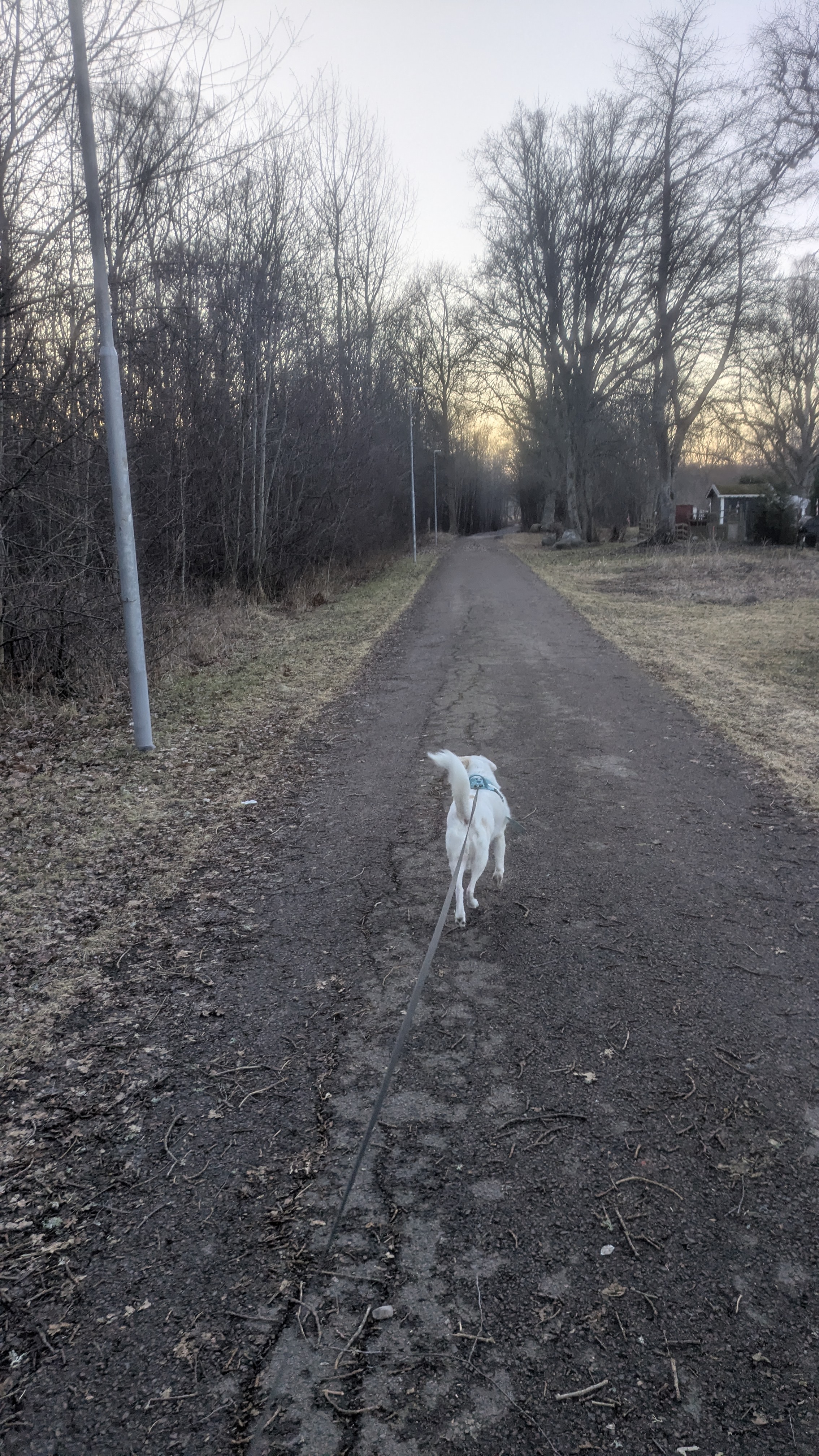 image-19