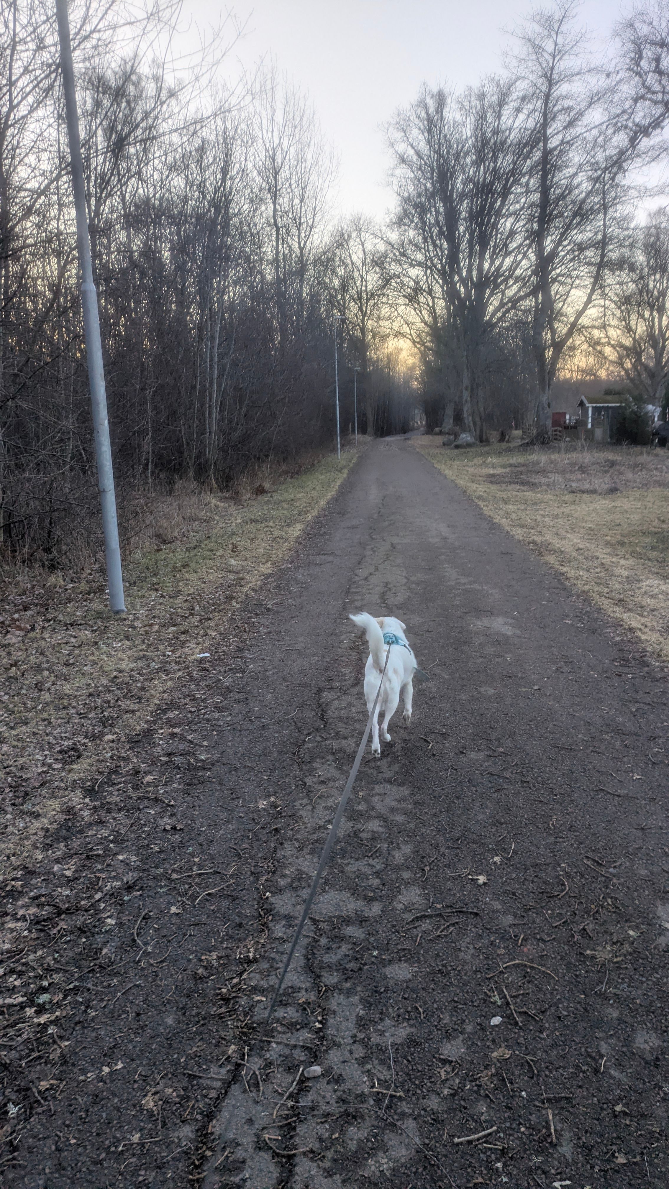 image-19