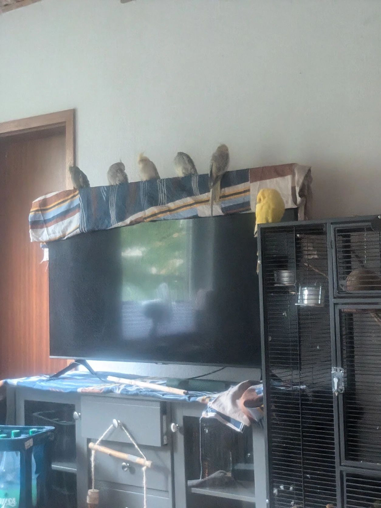 image-13