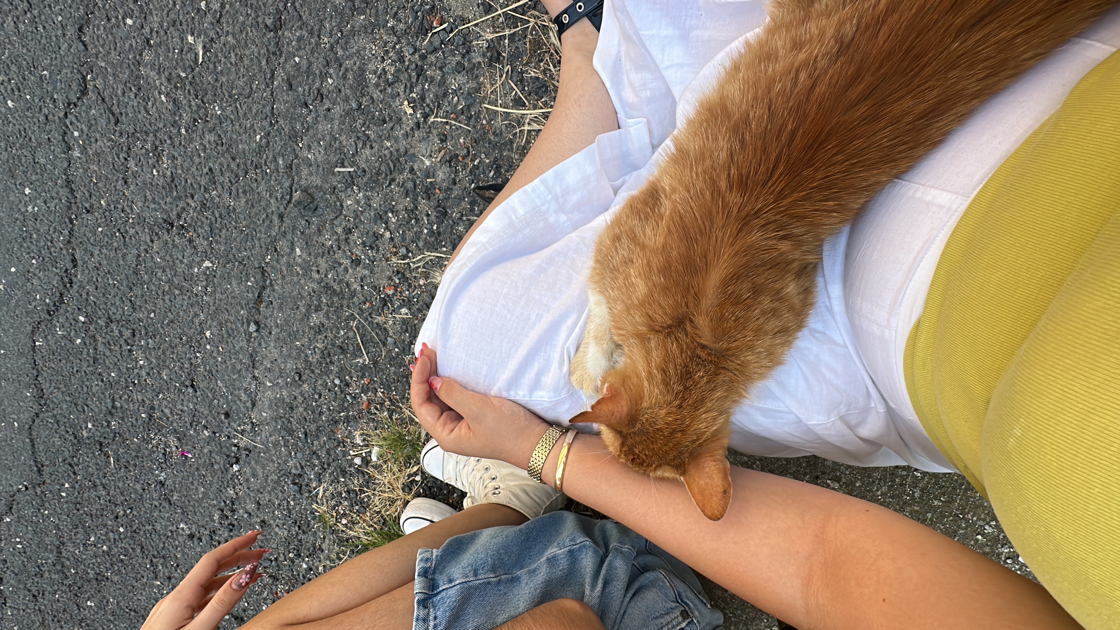 image-5