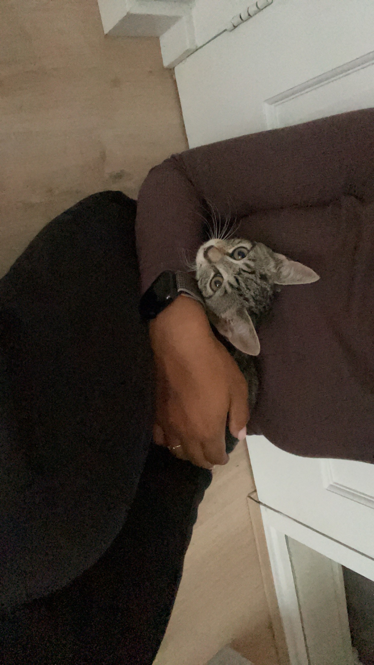 image-5