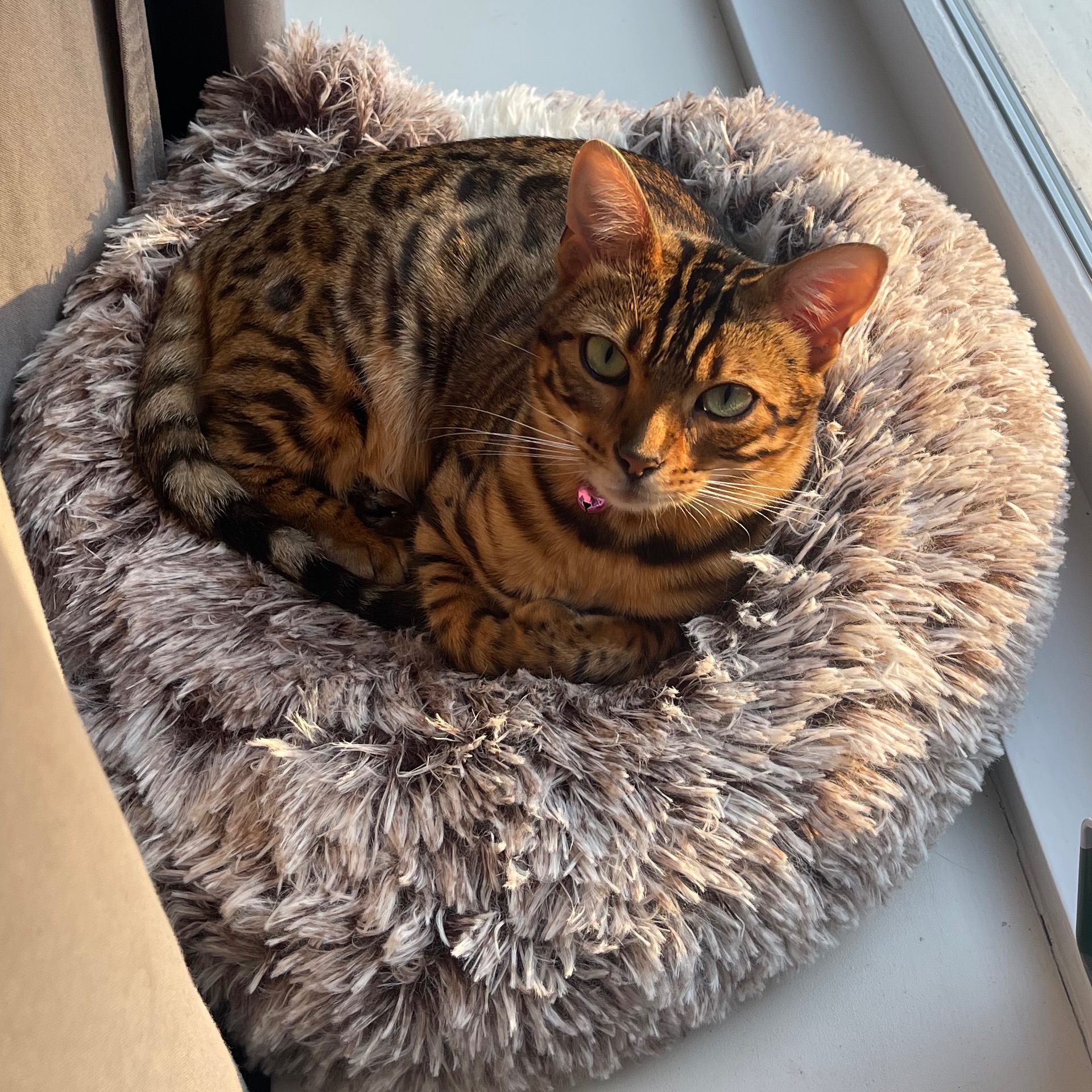 Luna