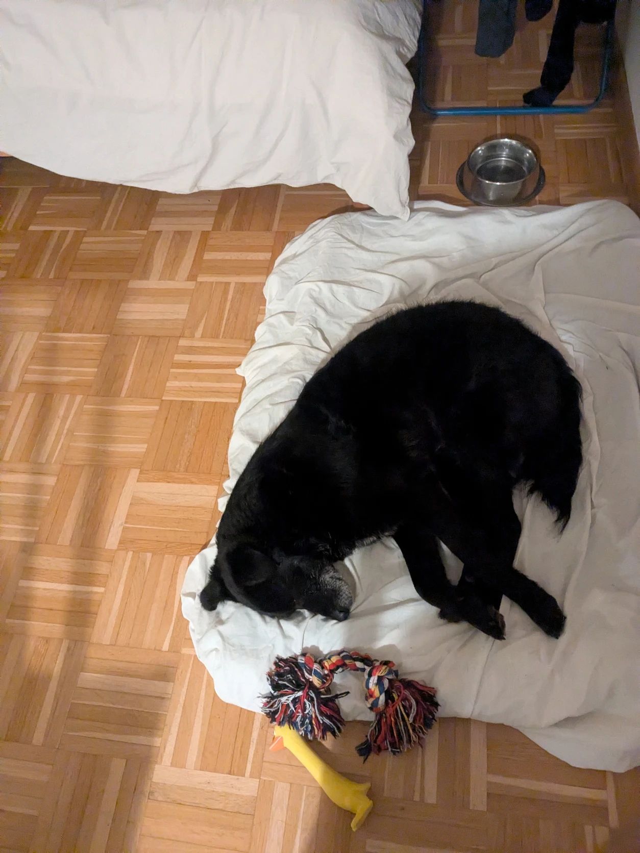 image-7