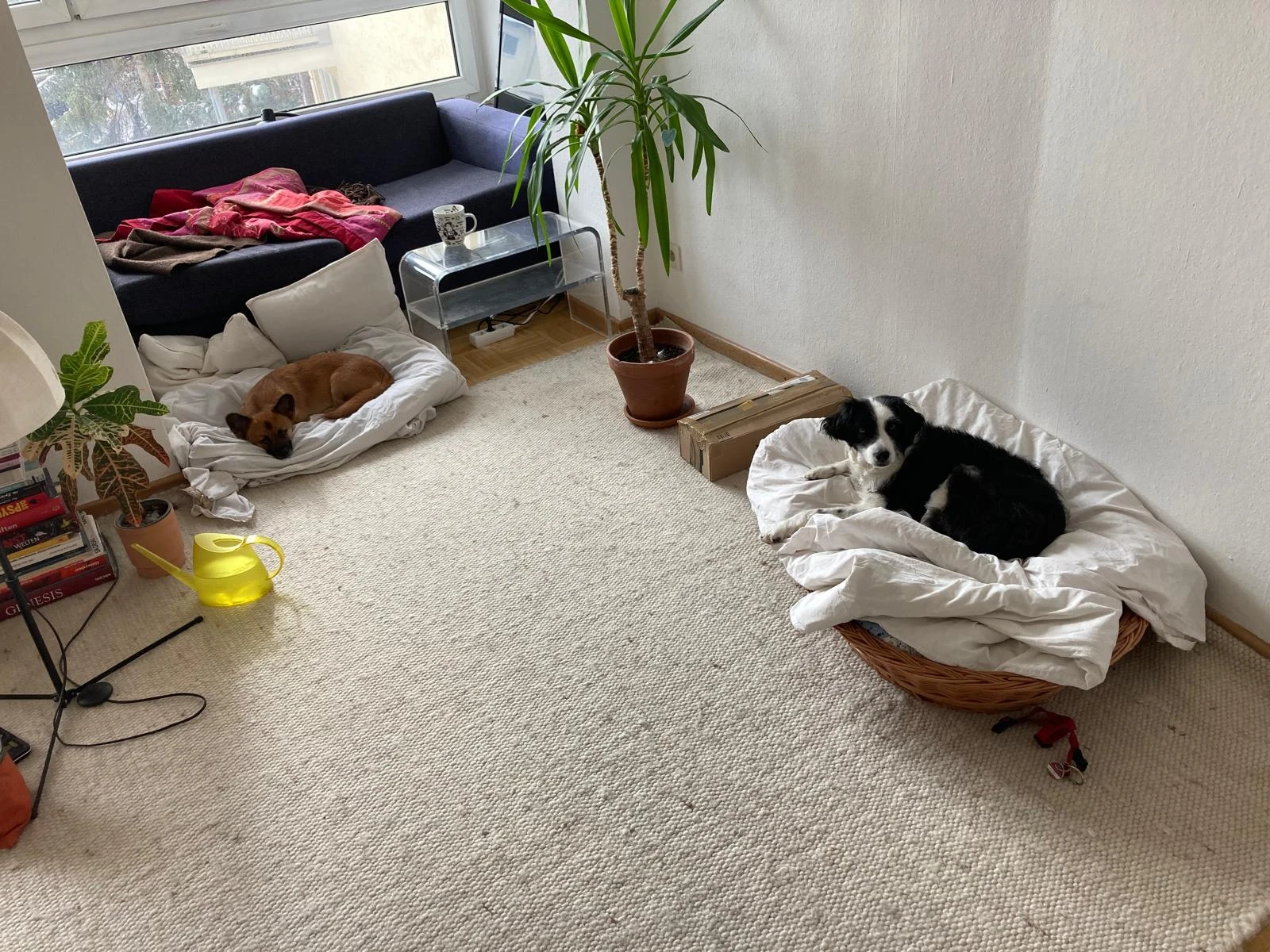 image-6