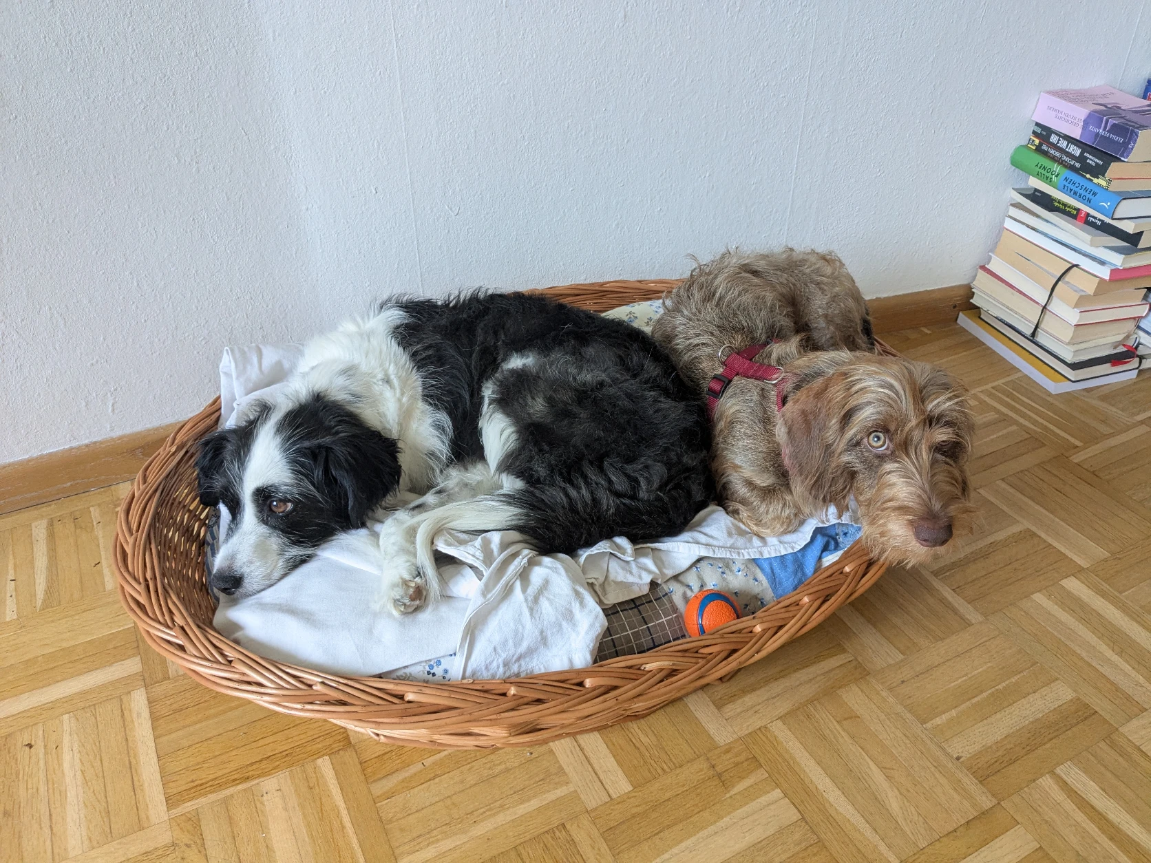 image-5