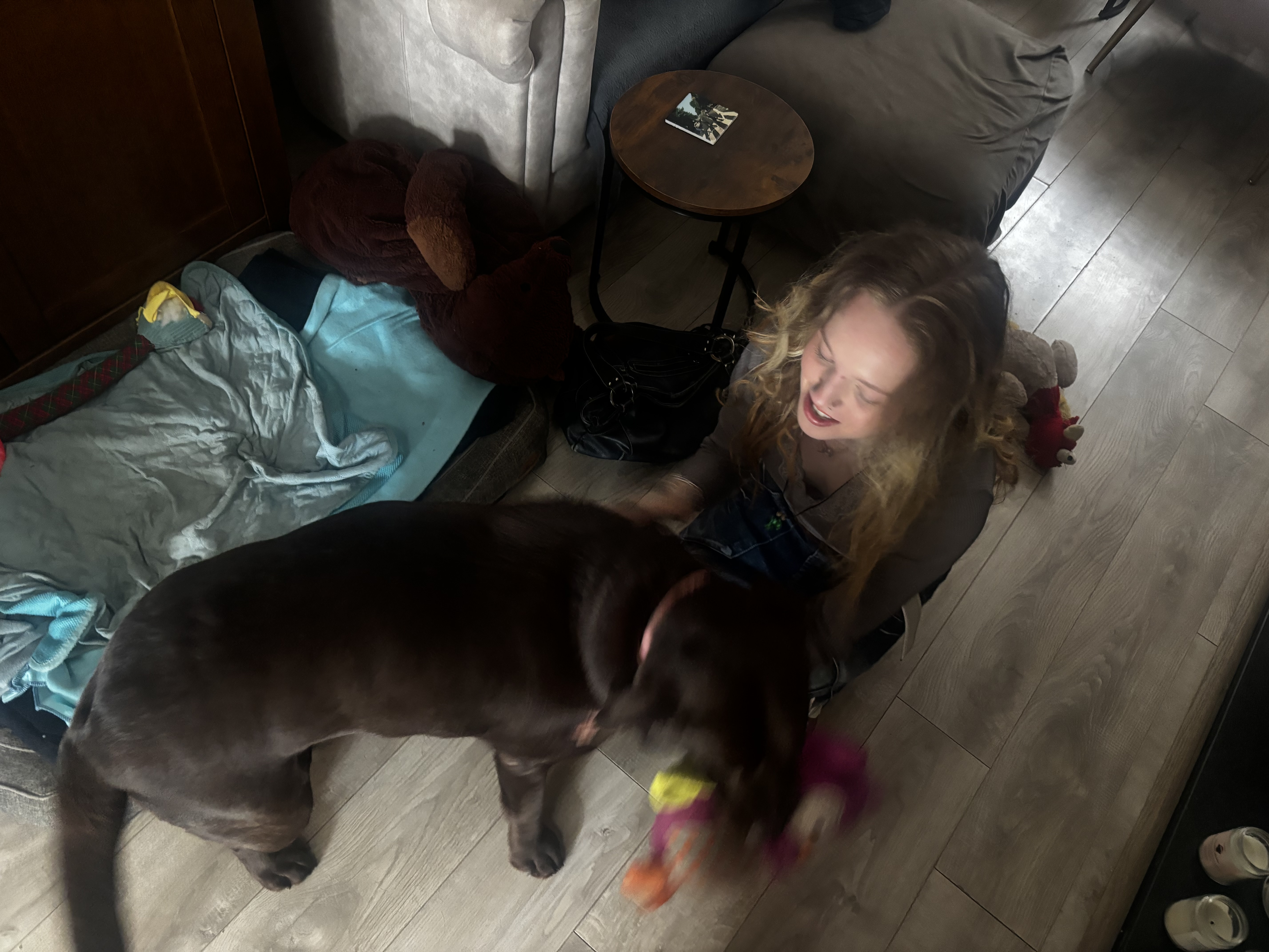 image-15