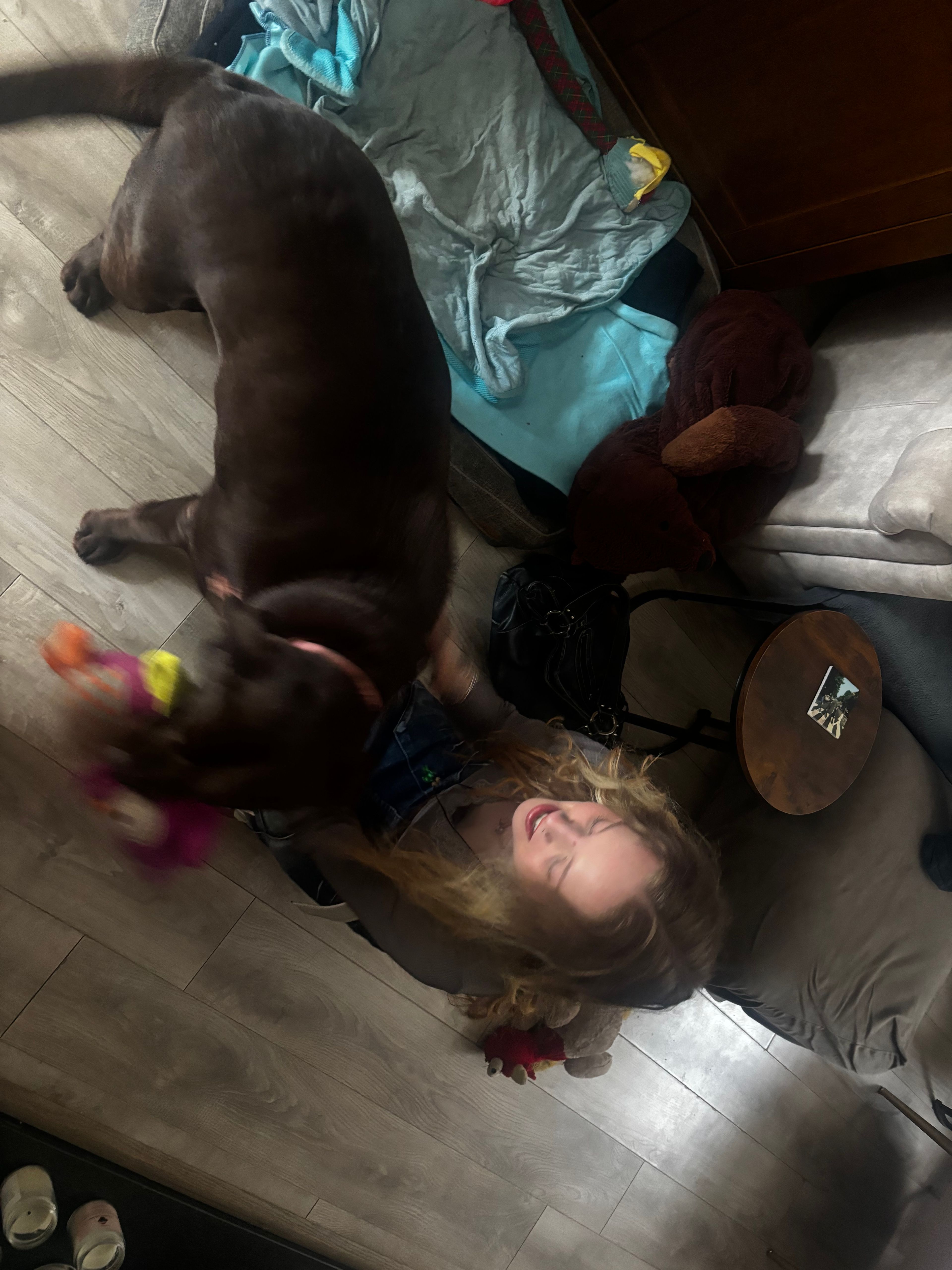 image-15