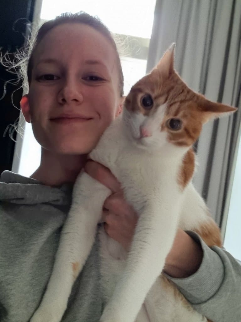 image-6