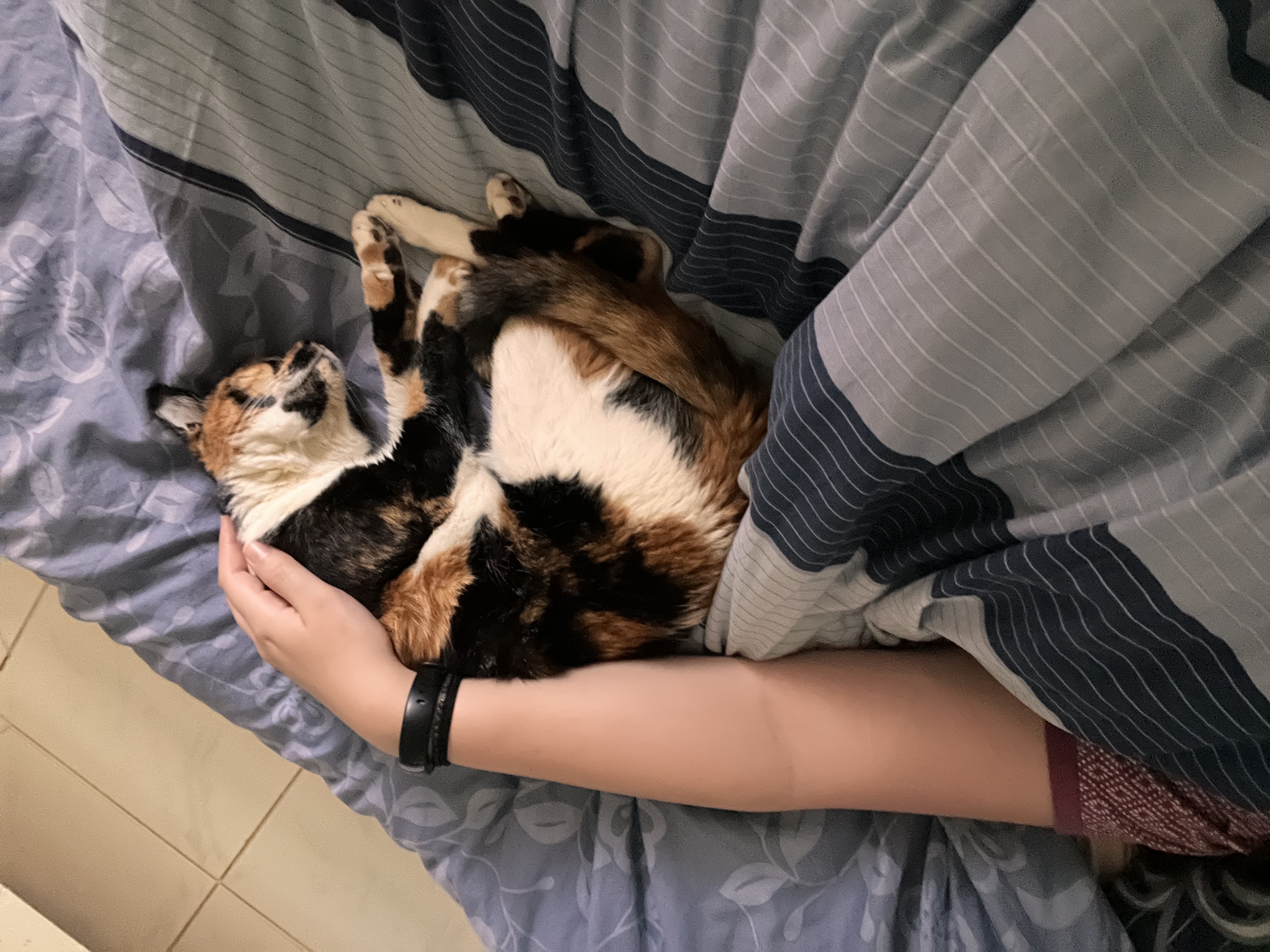 image-9