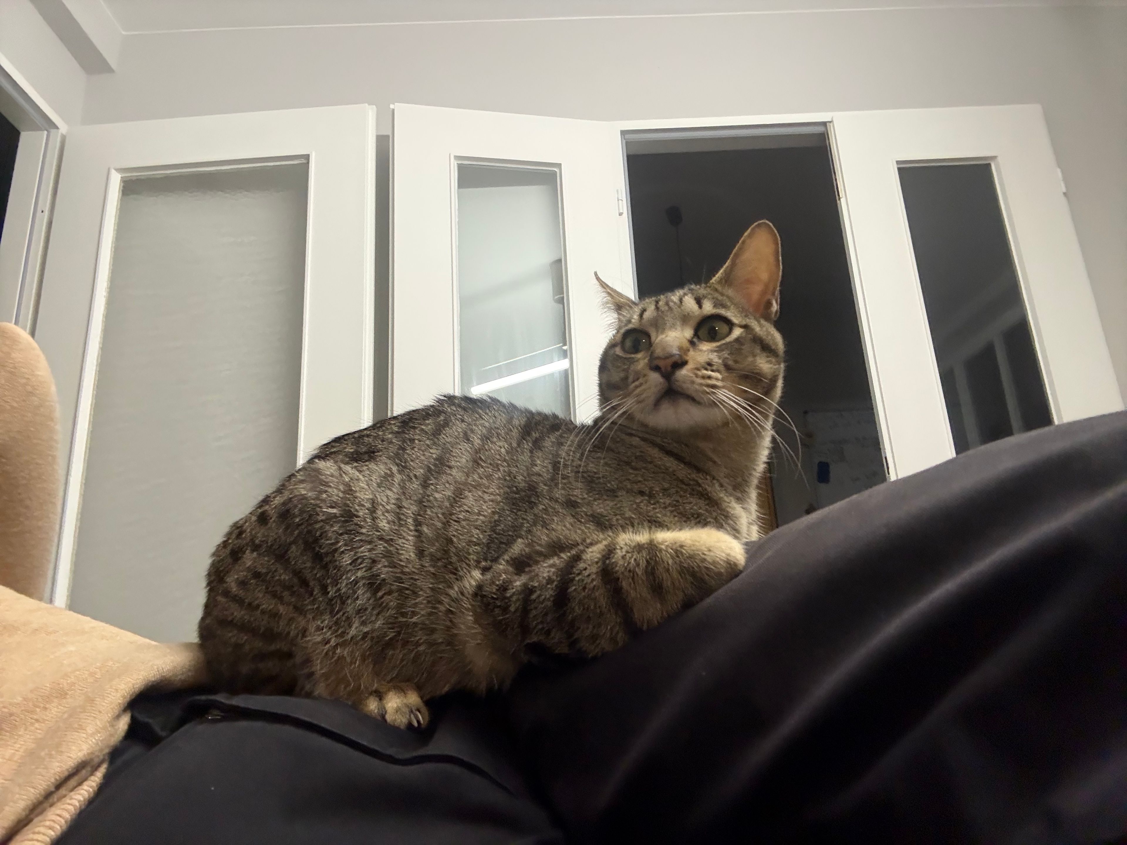 image-6