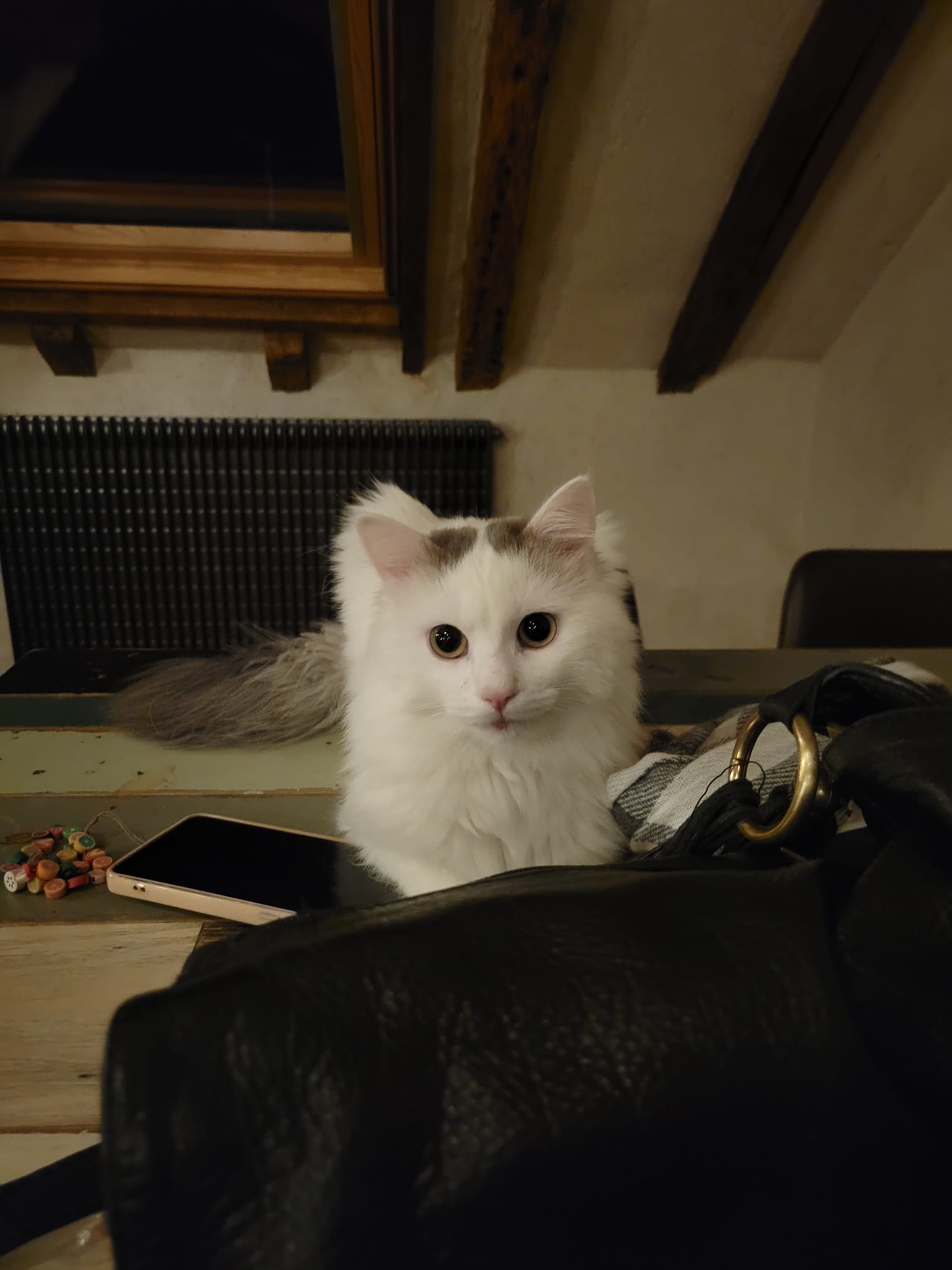 image-7