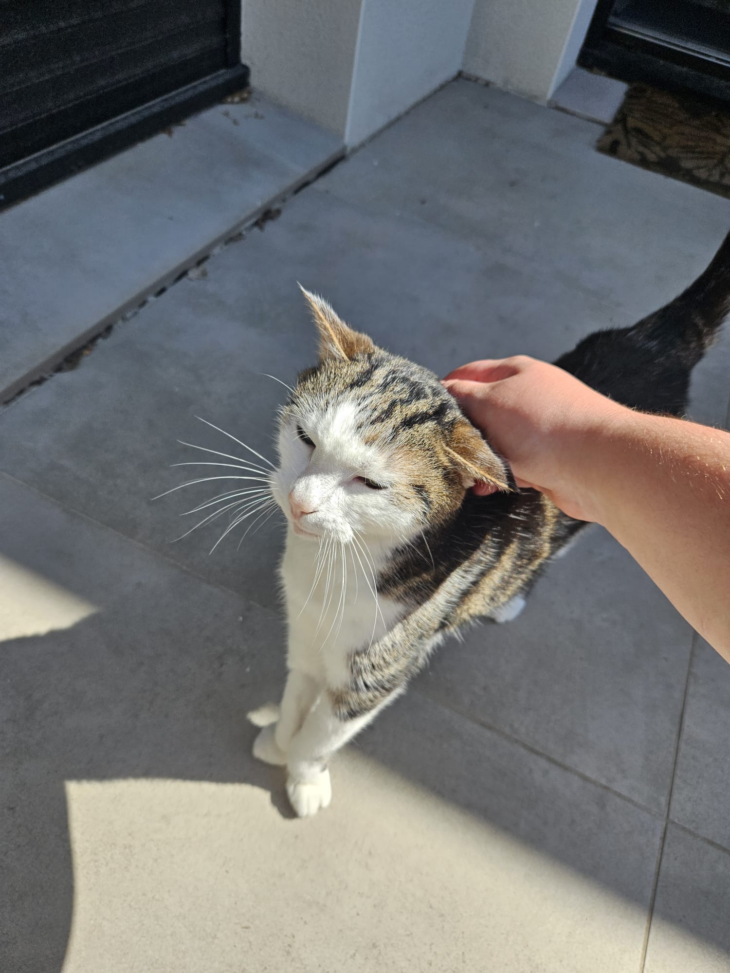 image-59