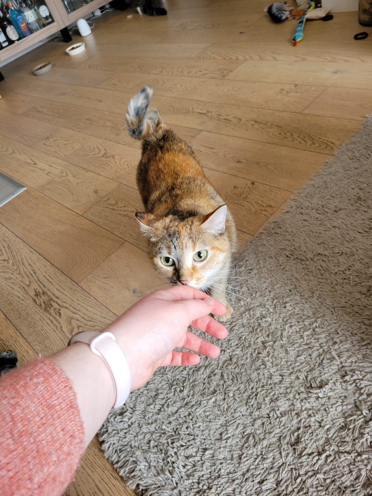 image-11