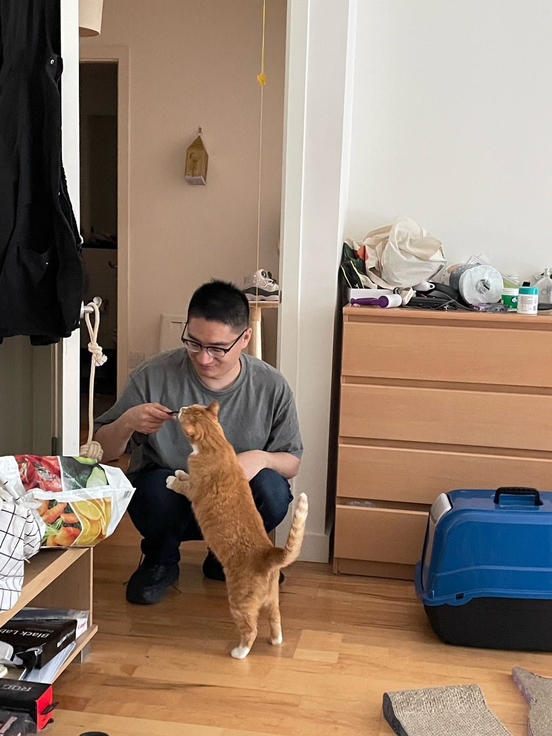 image-8