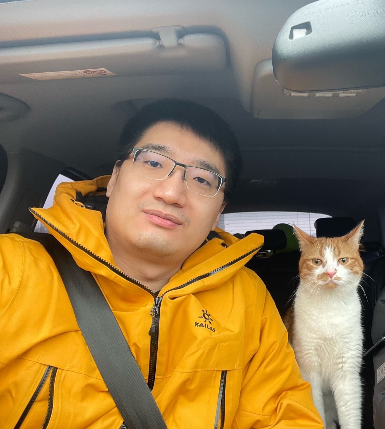 image-7