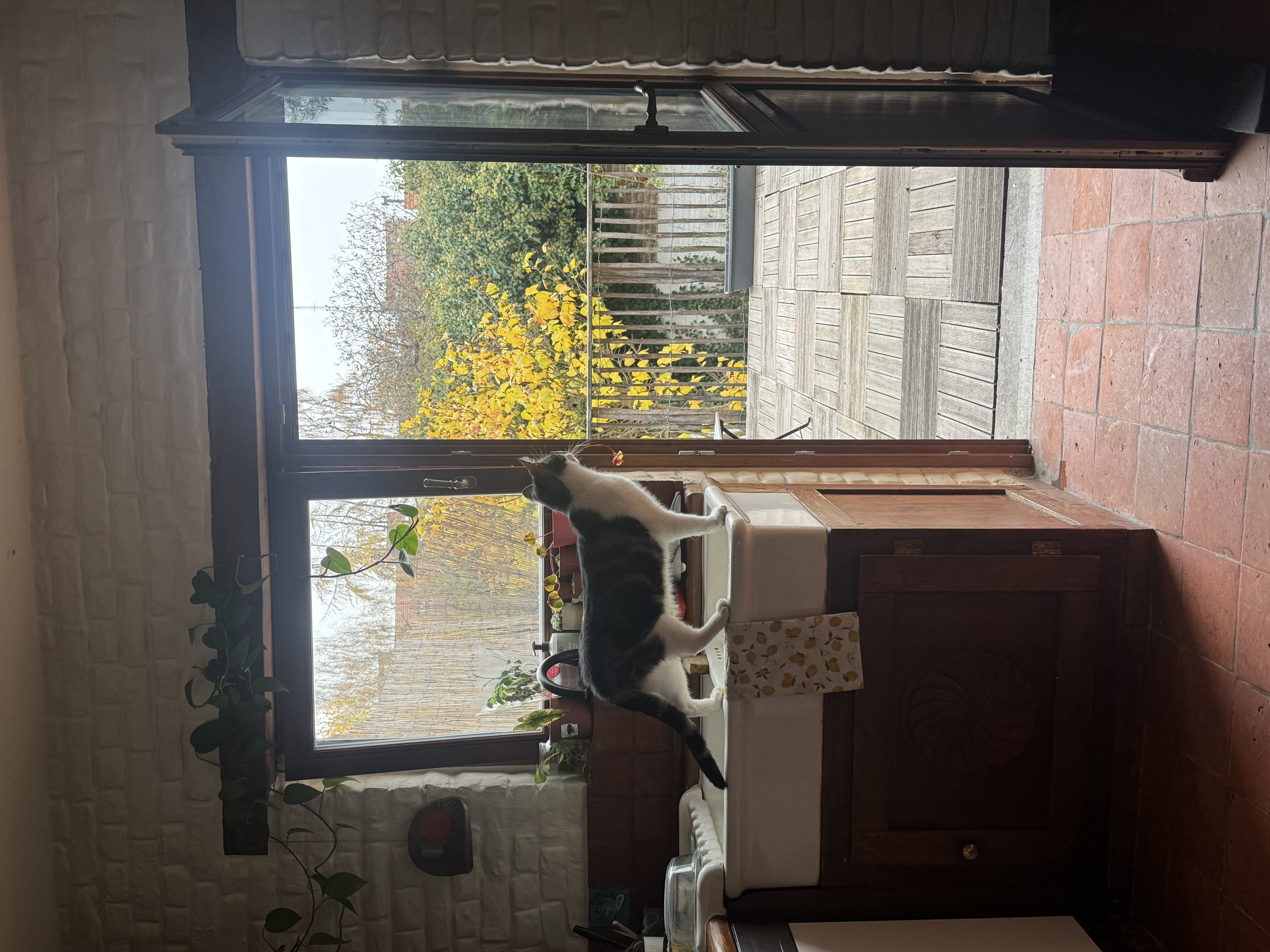image-18