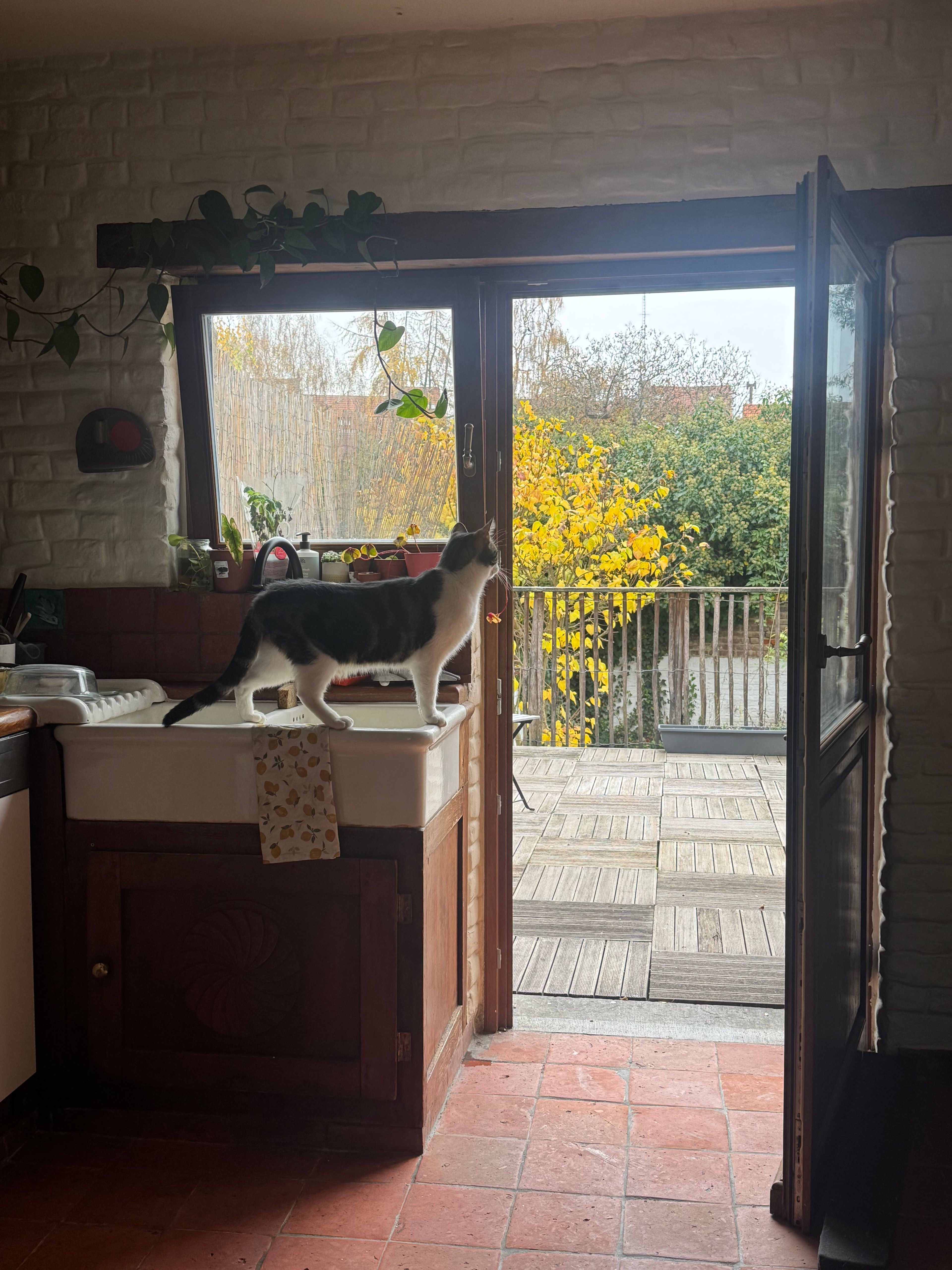 image-18