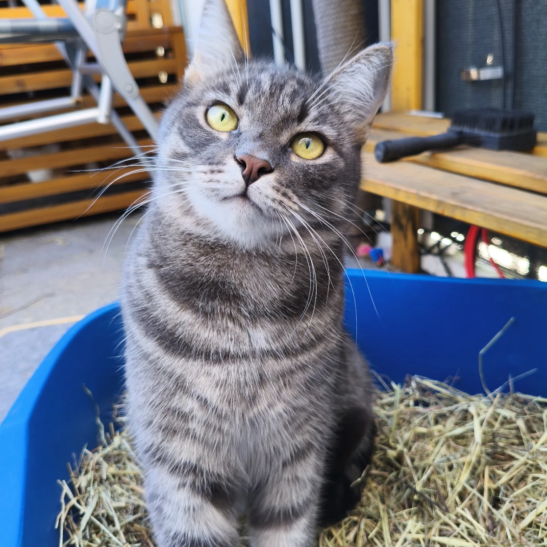 Sam