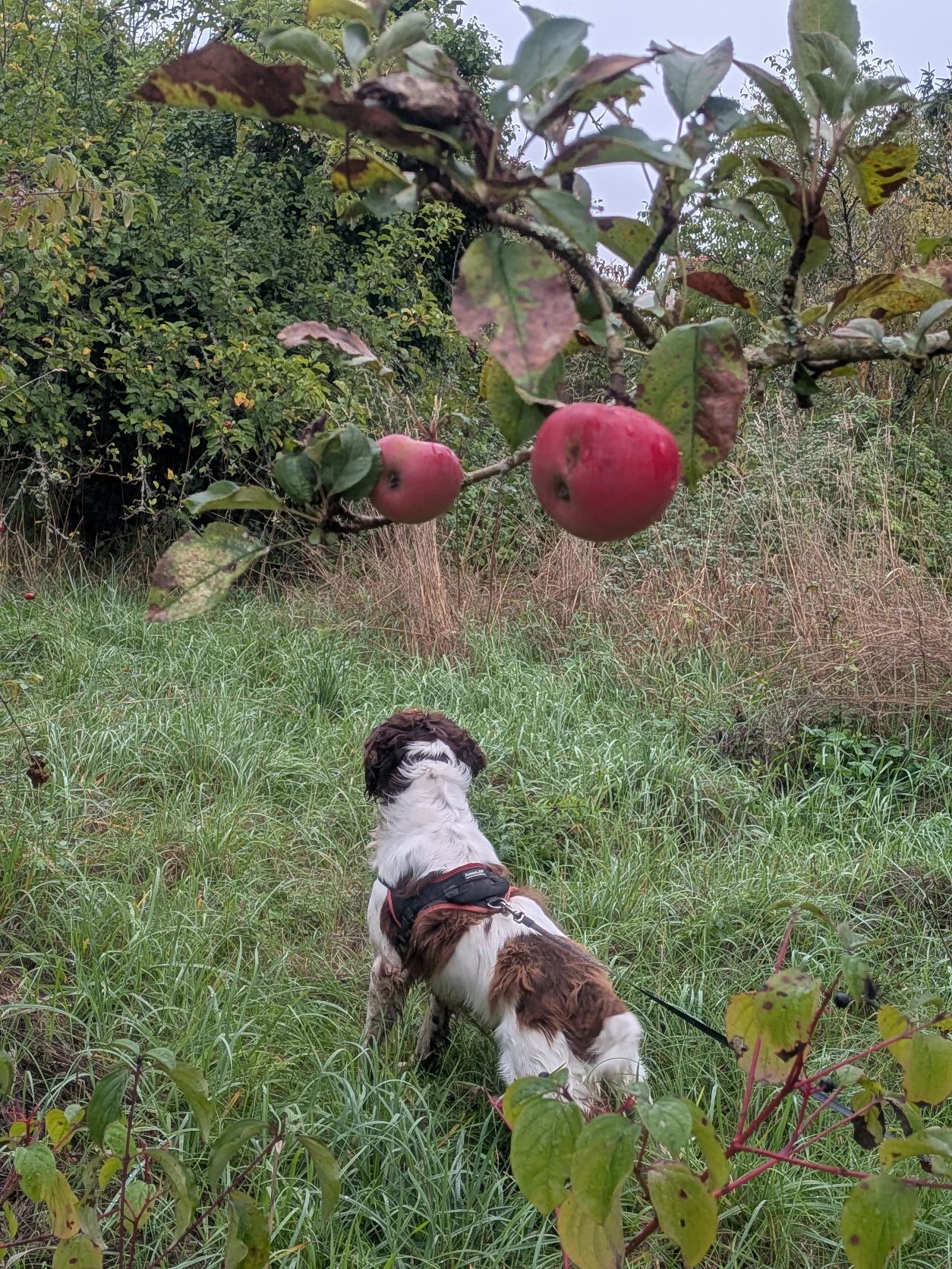 image-8