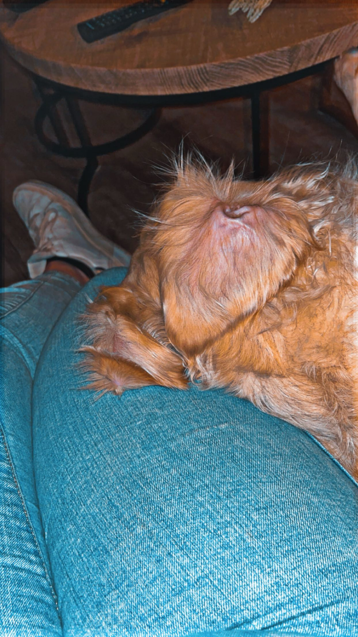 image-5