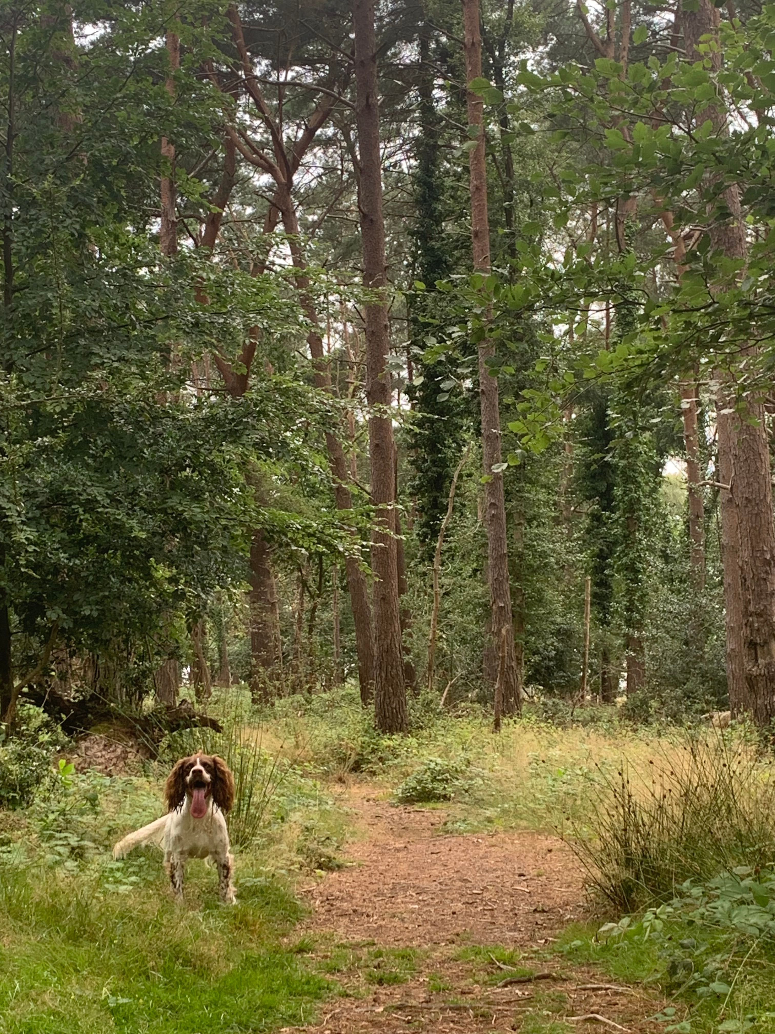 image-6