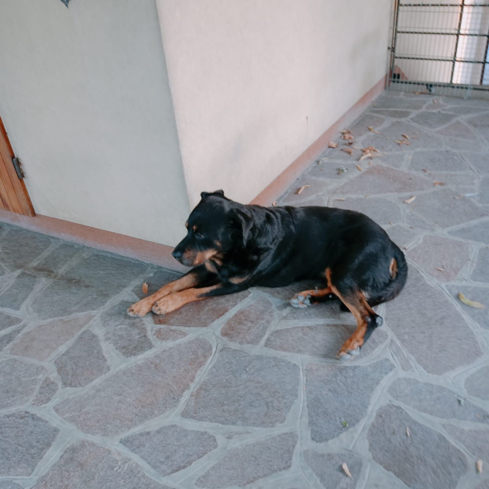 image-16