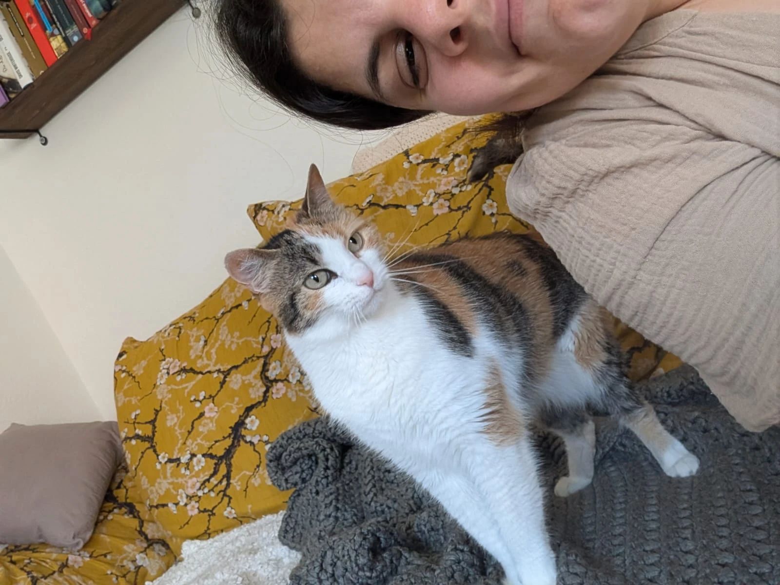 image-11