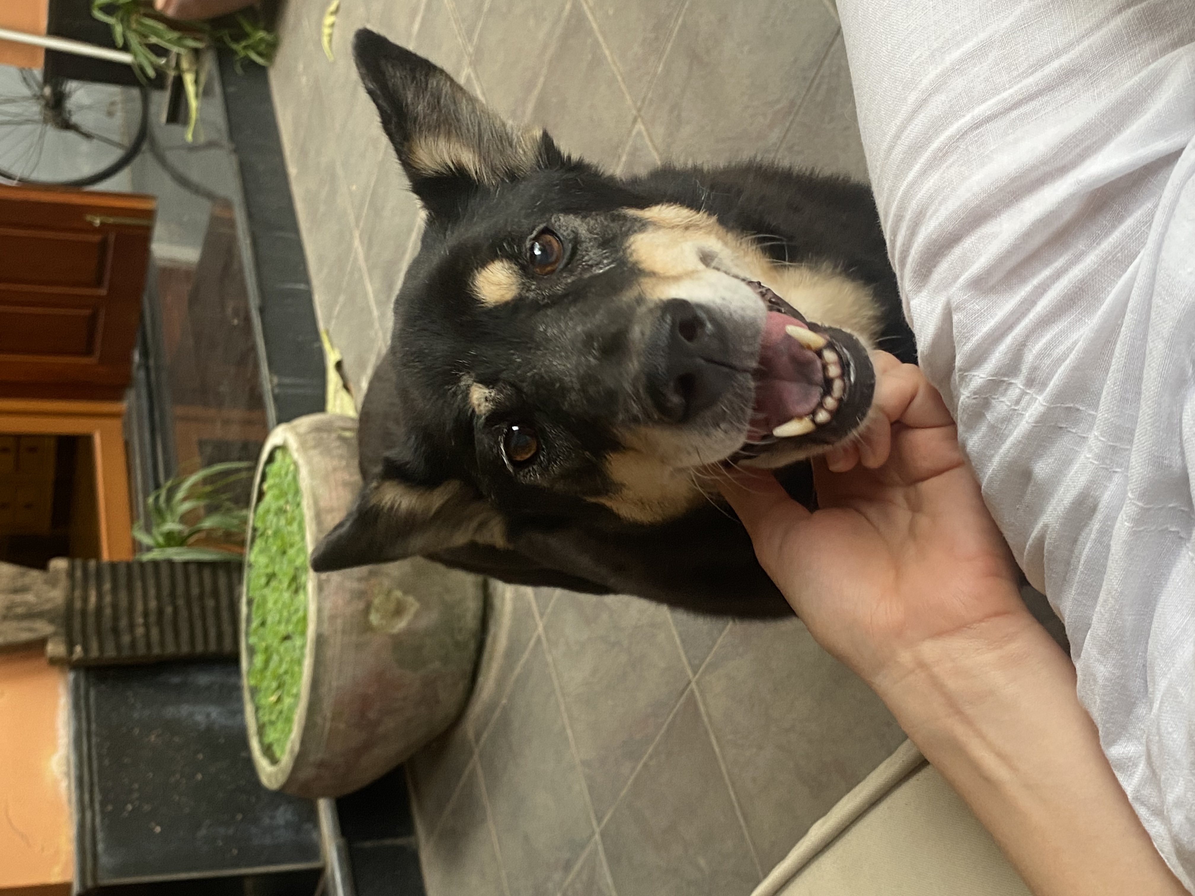 image-5