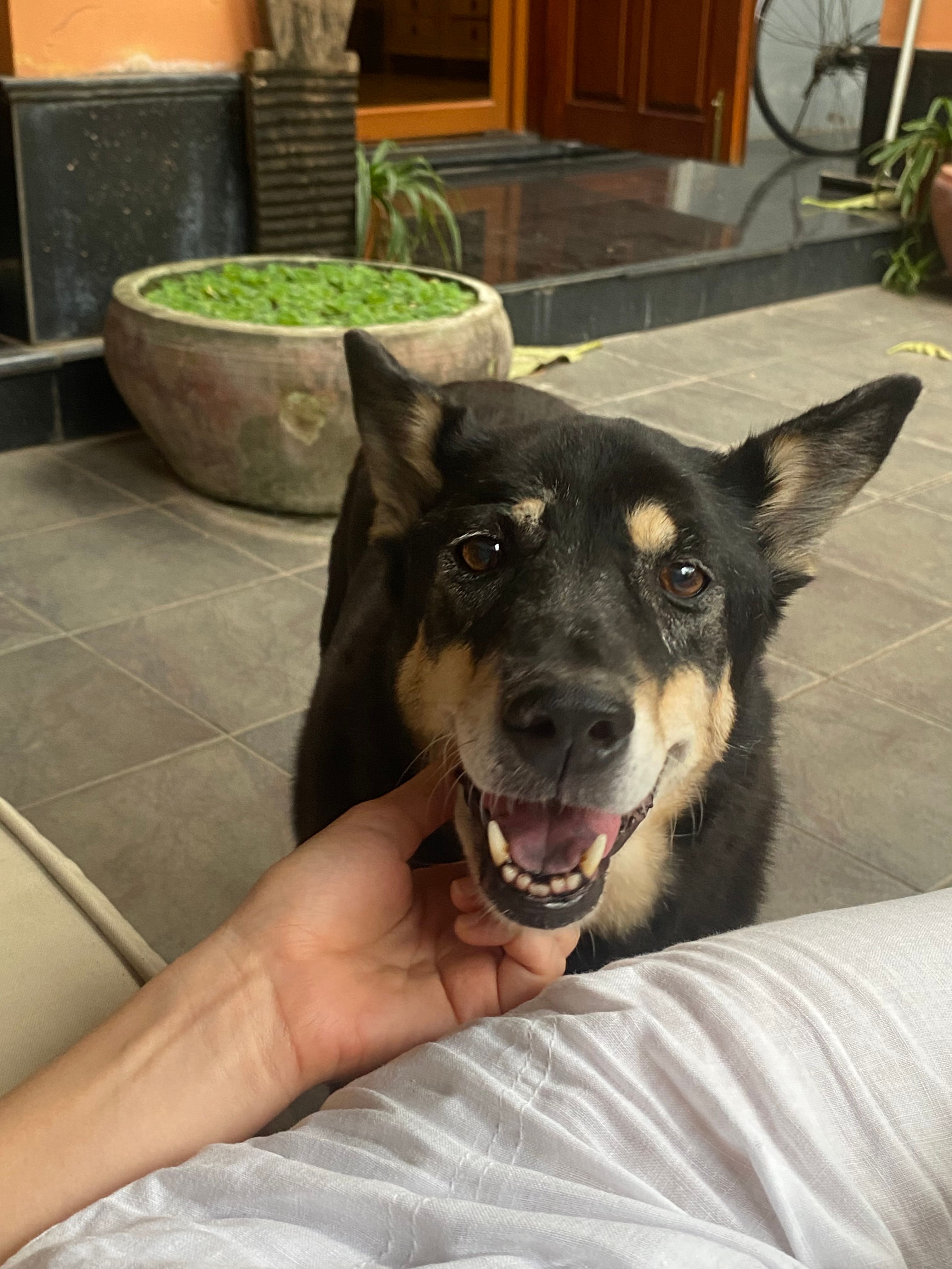 image-5