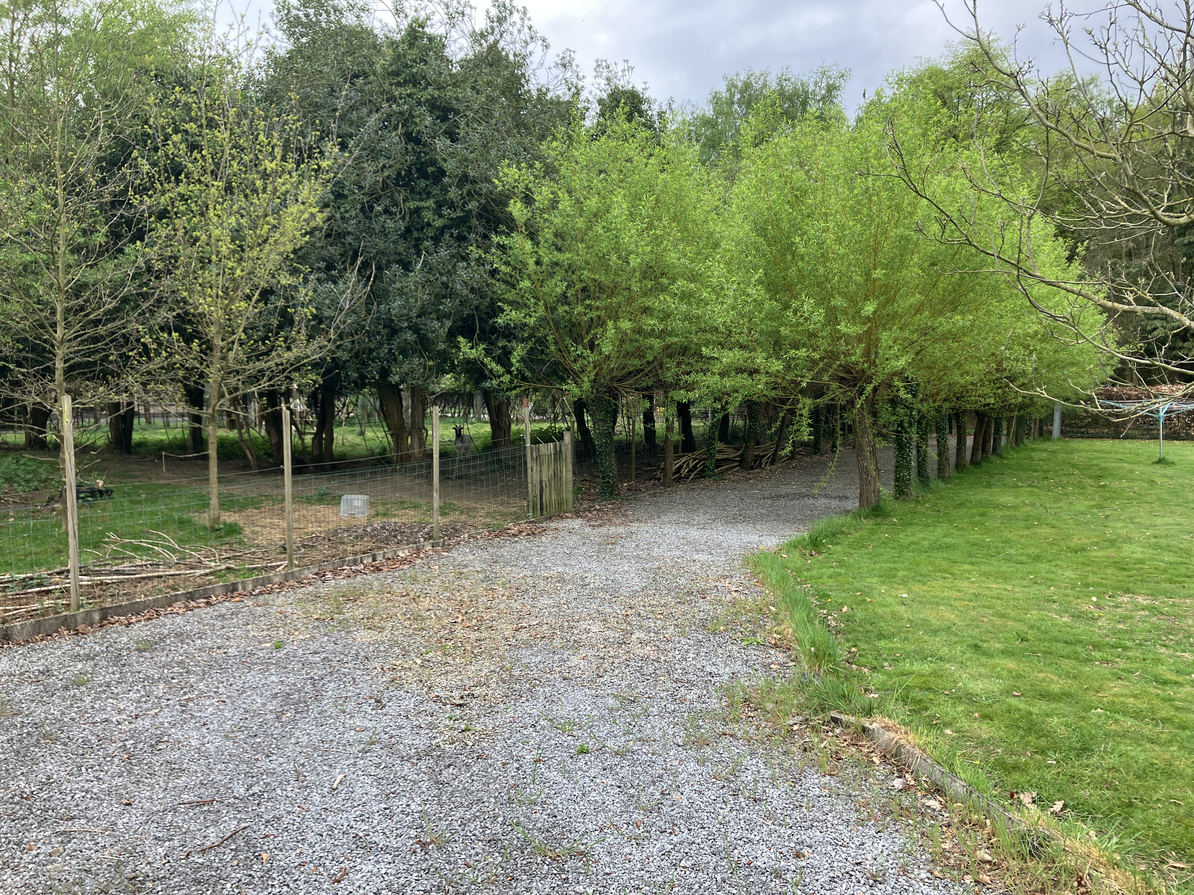 image-16
