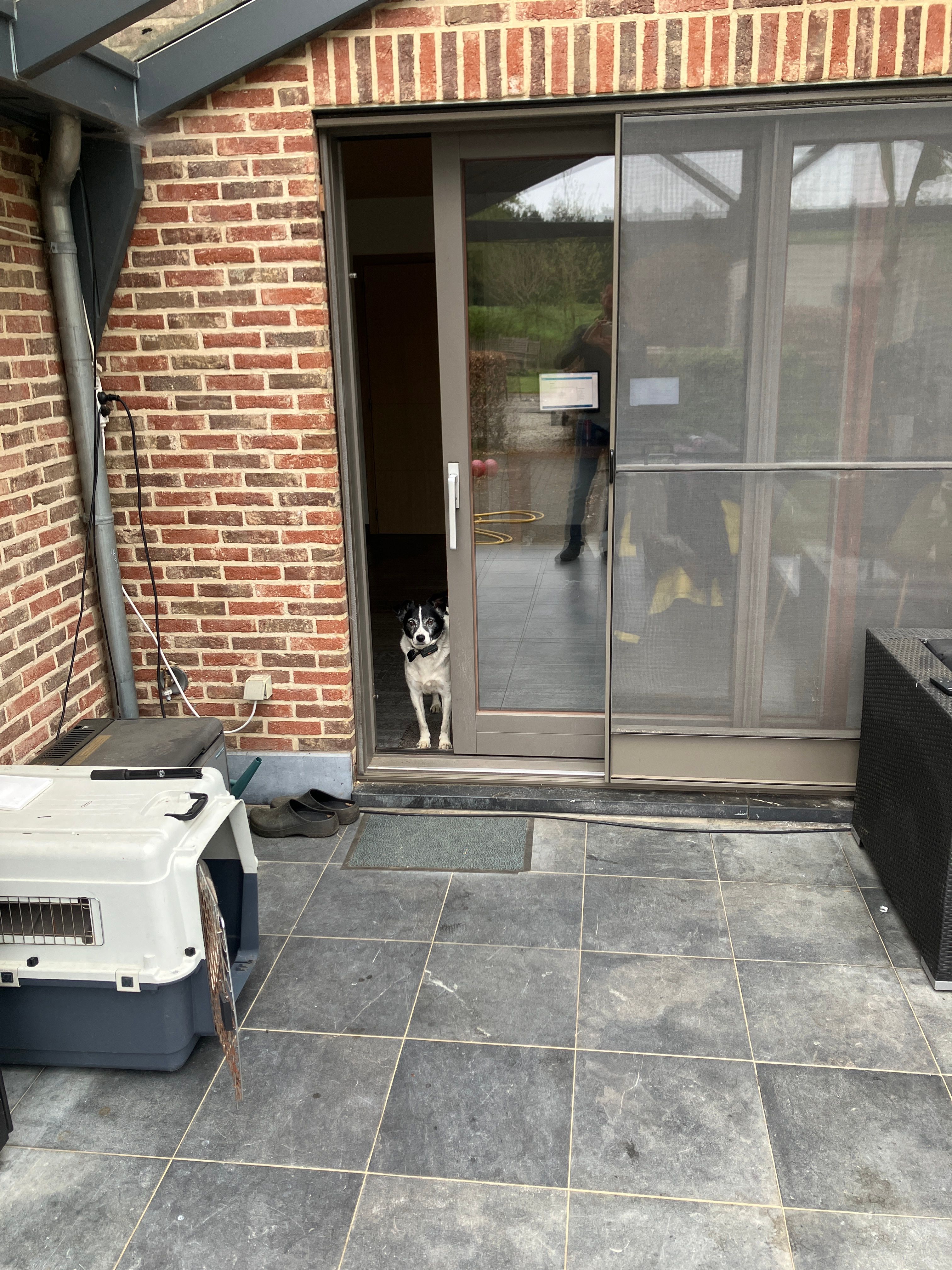 image-19