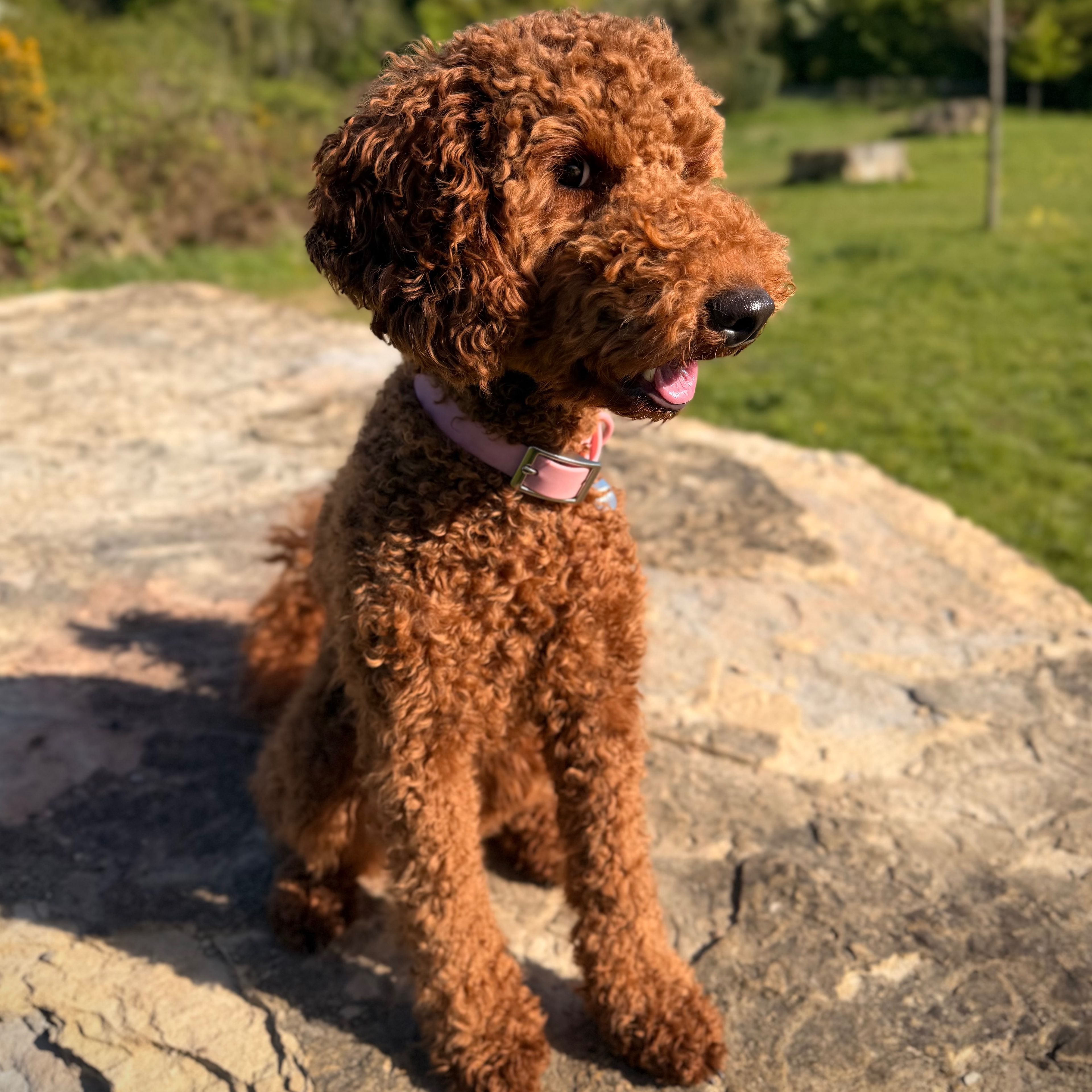 Riley