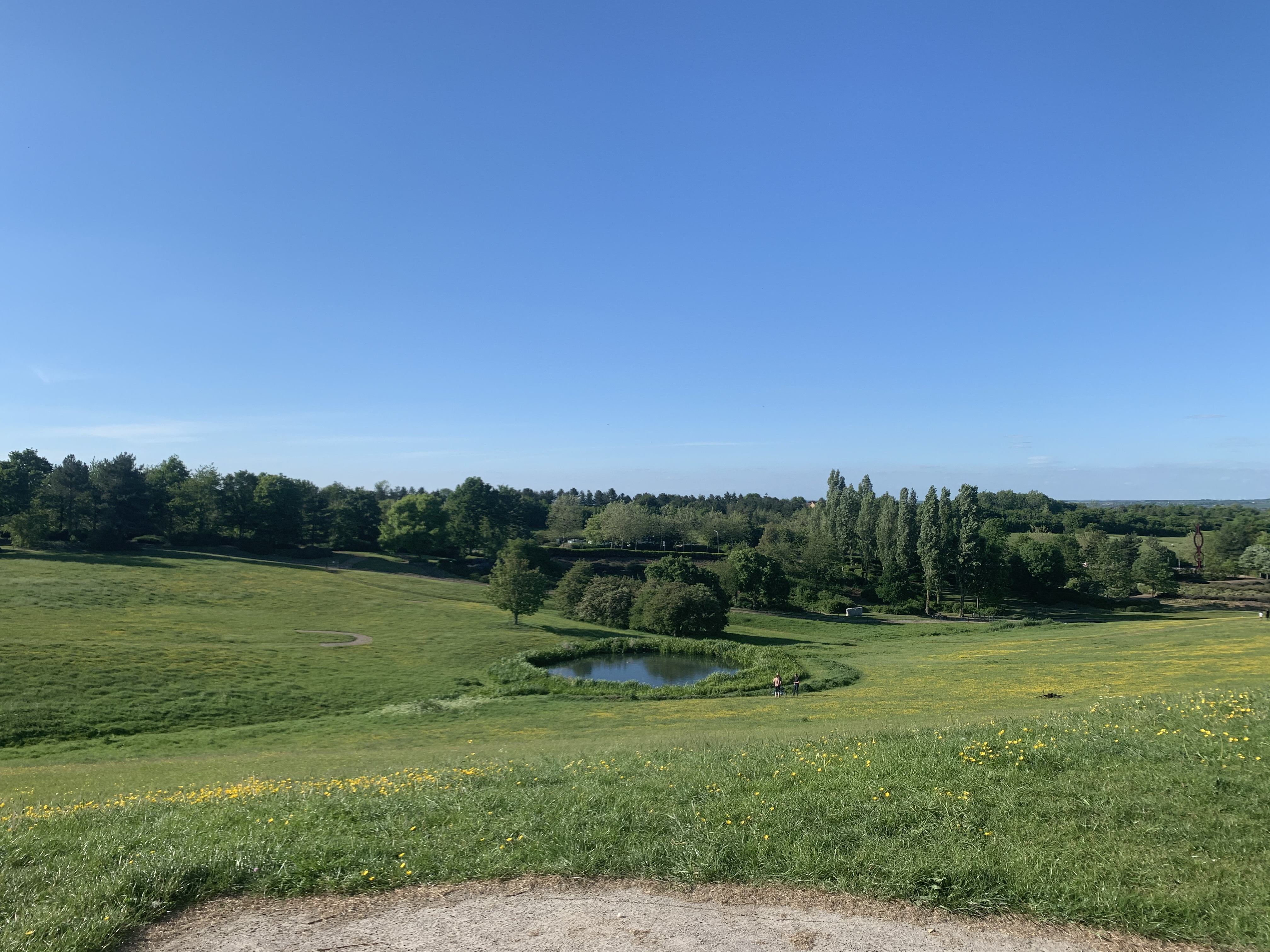 image-14