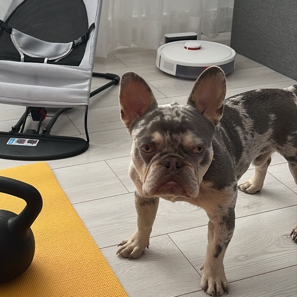 Bubi