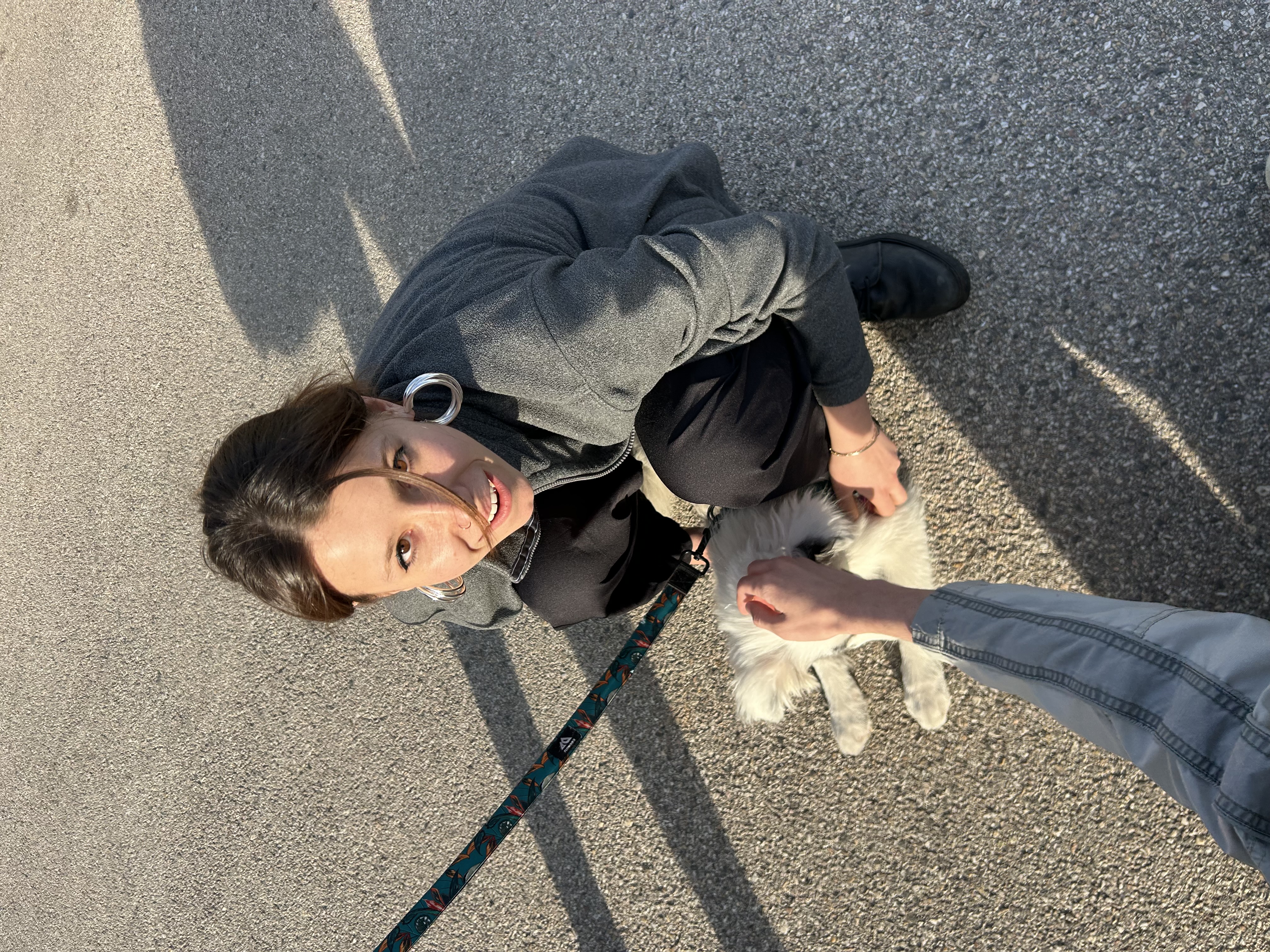 image-2
