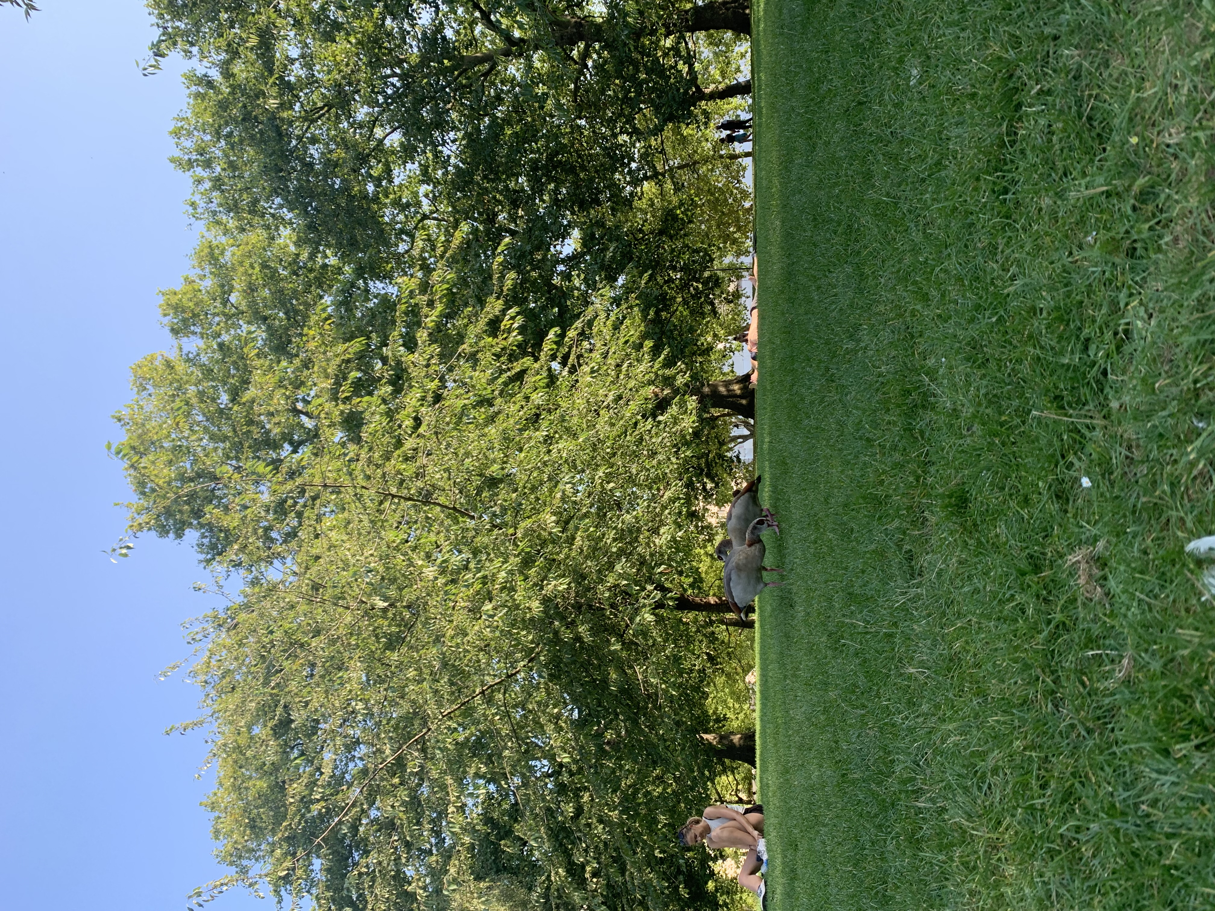 image-23