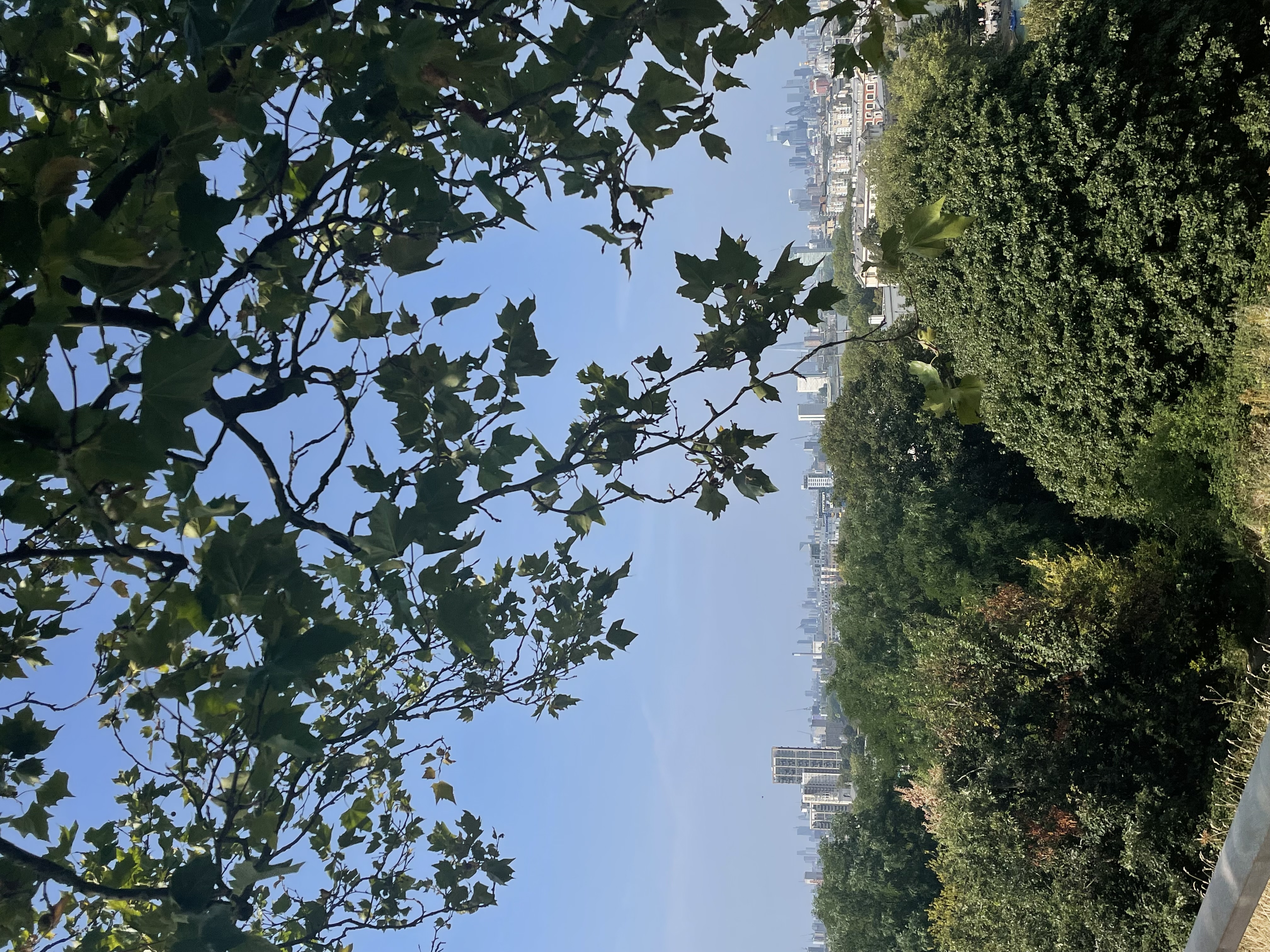 image-19