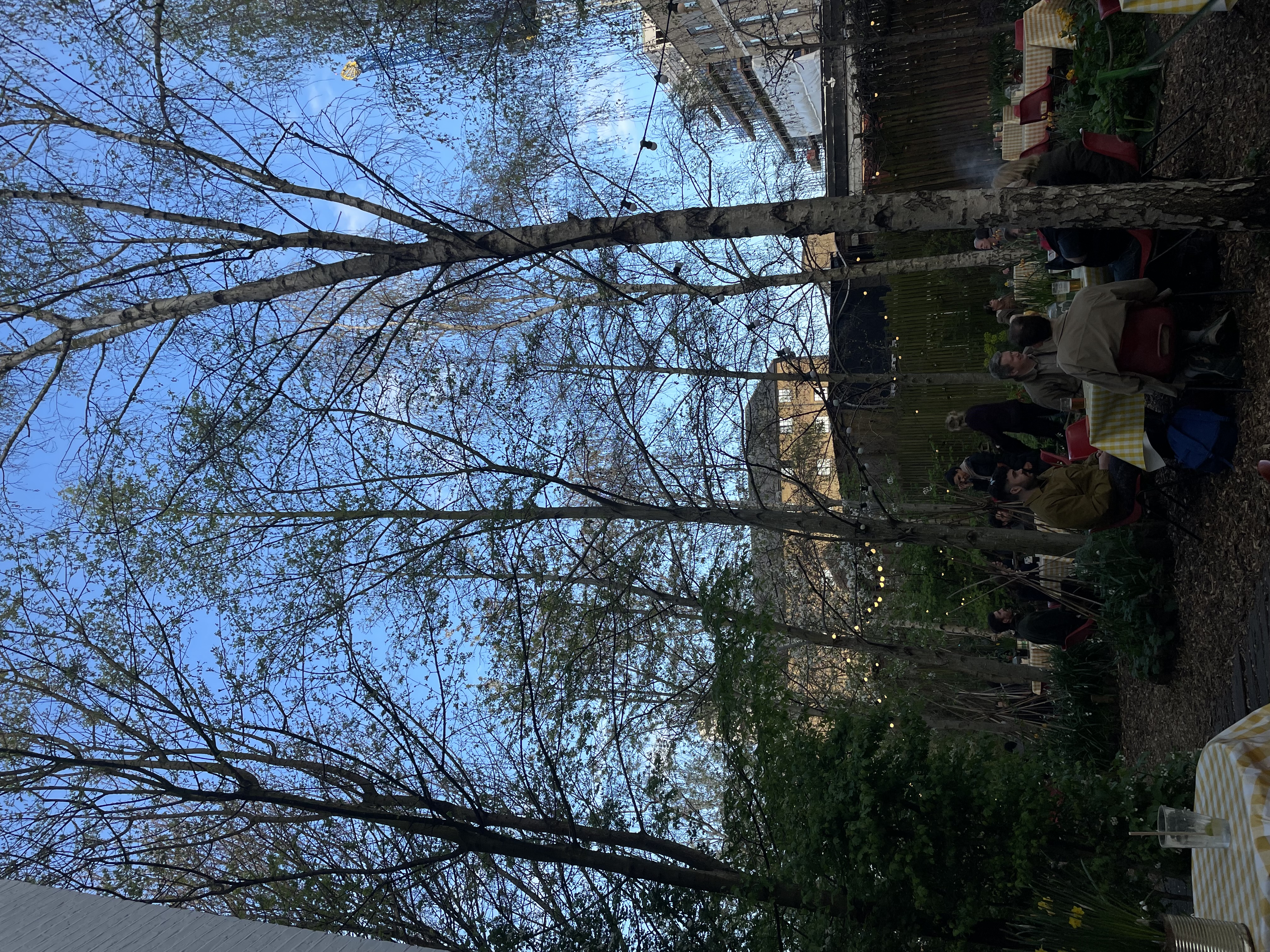 image-16
