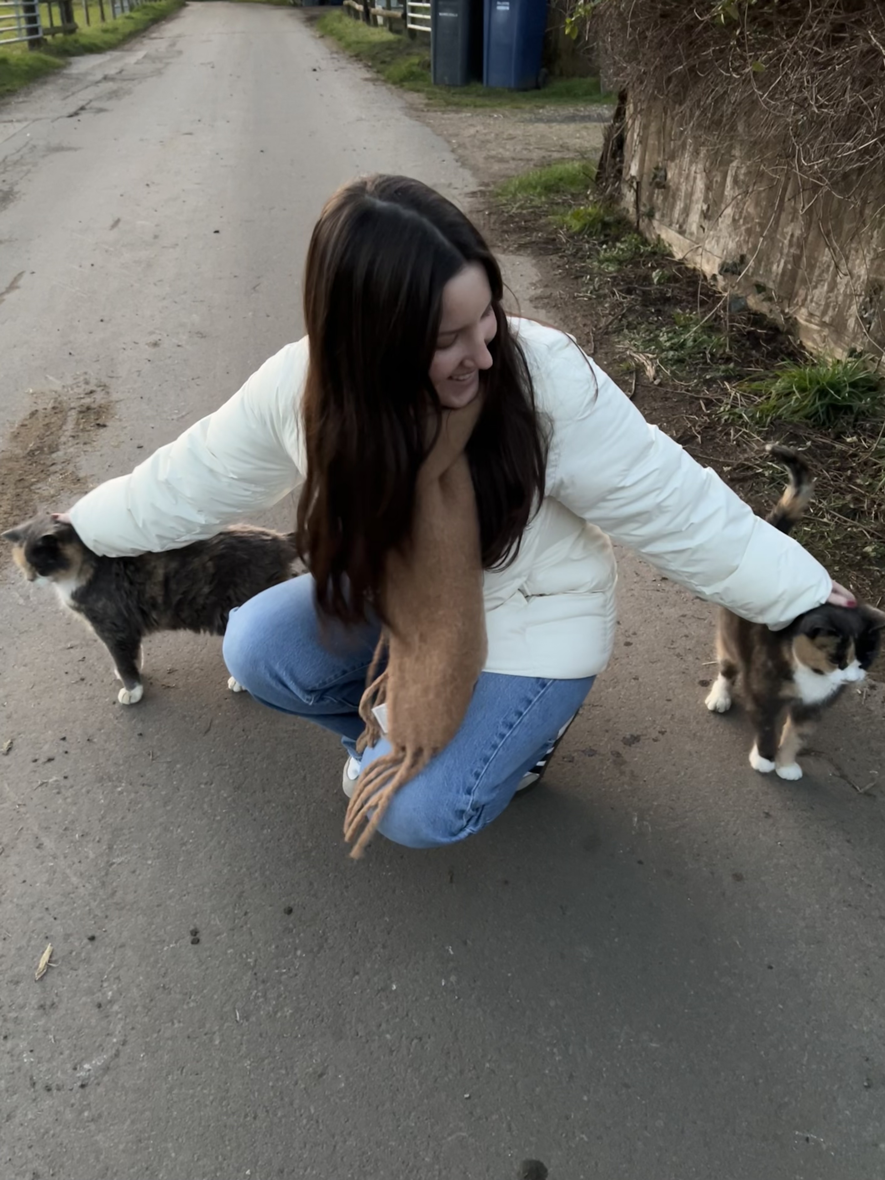 image-7