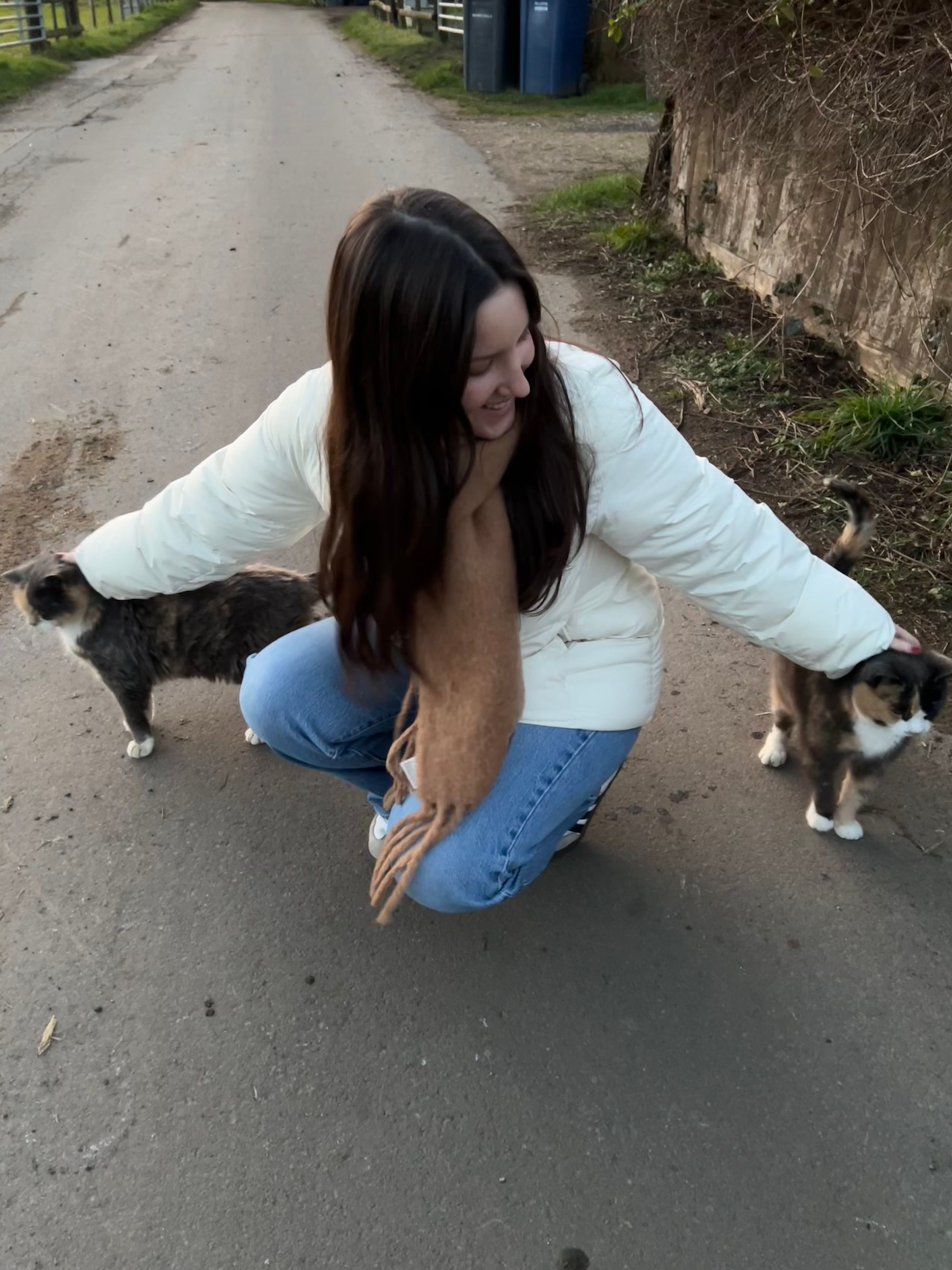 image-7
