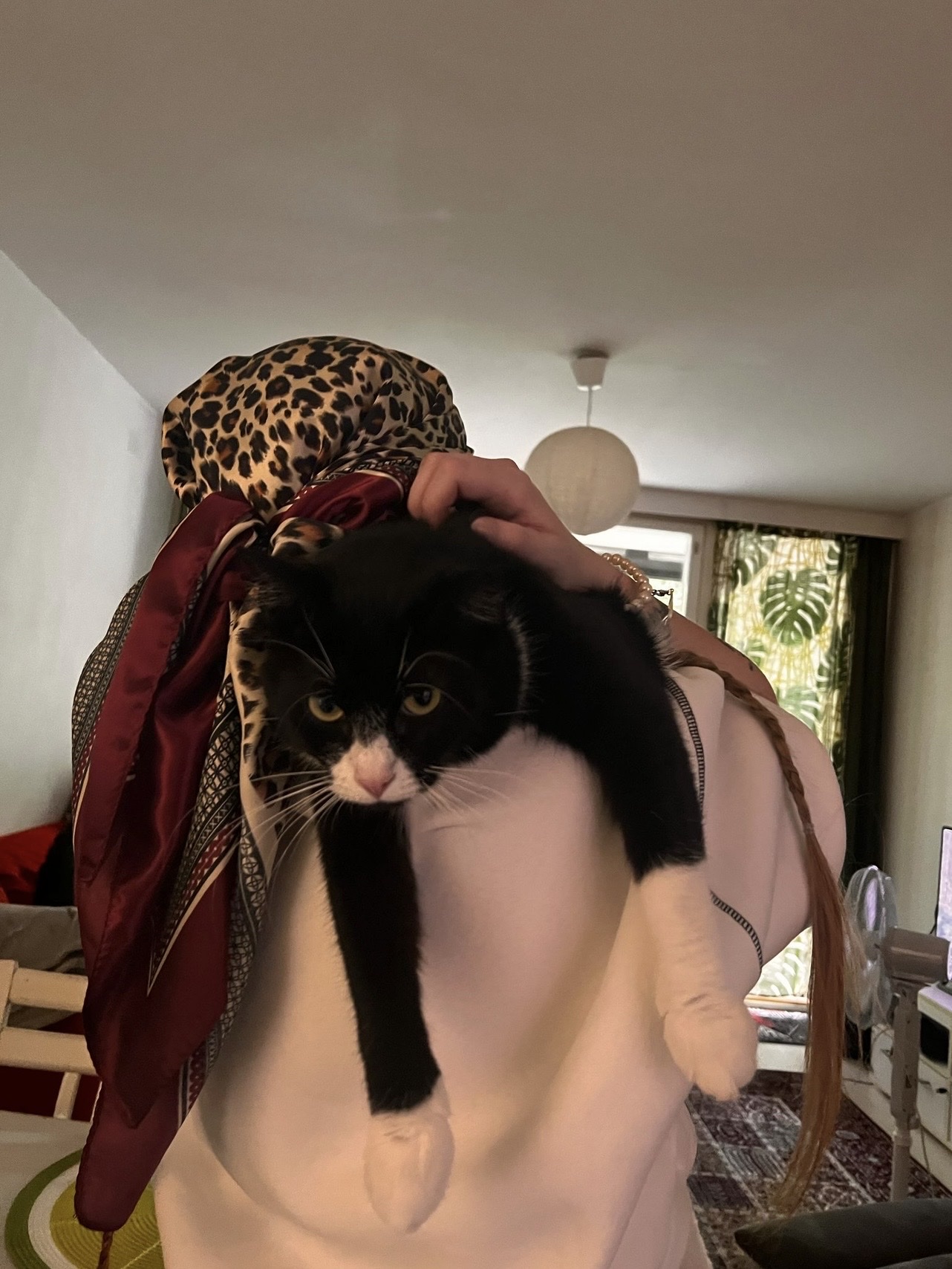 image-12