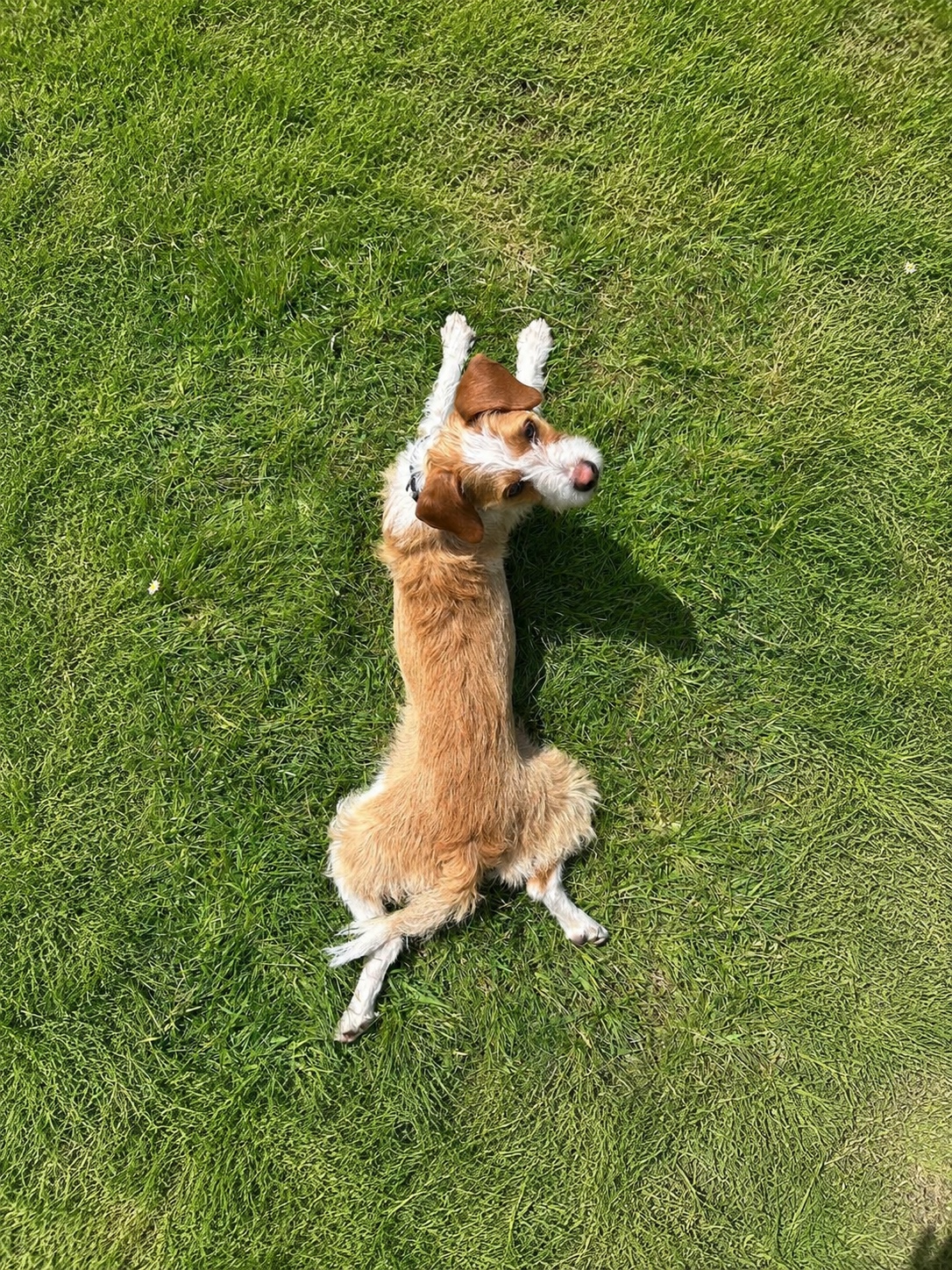image-7