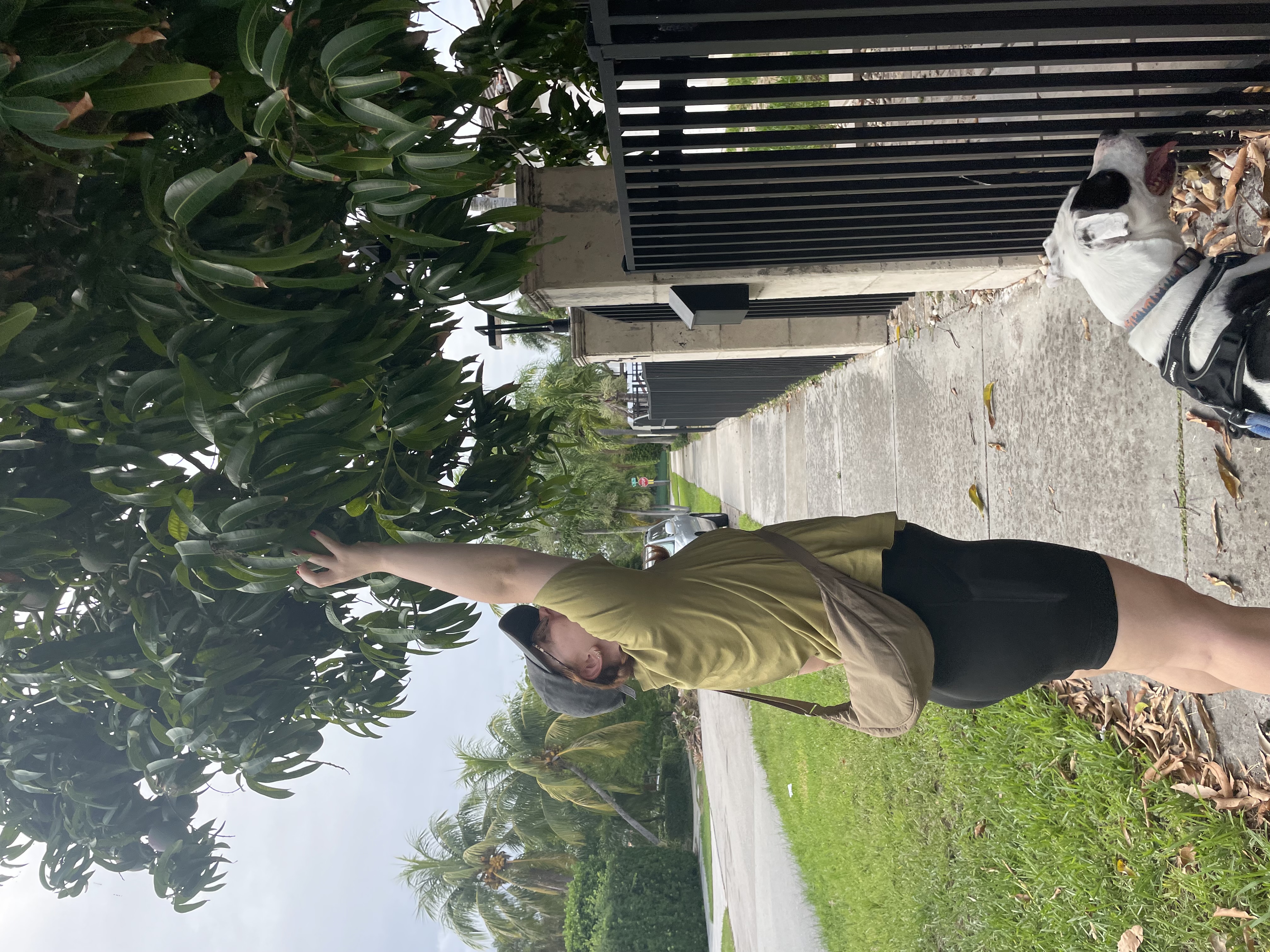 image-6